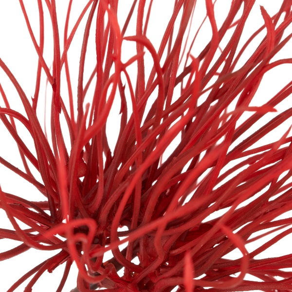 Kunstblumen Distelzweig, Rot Gasper