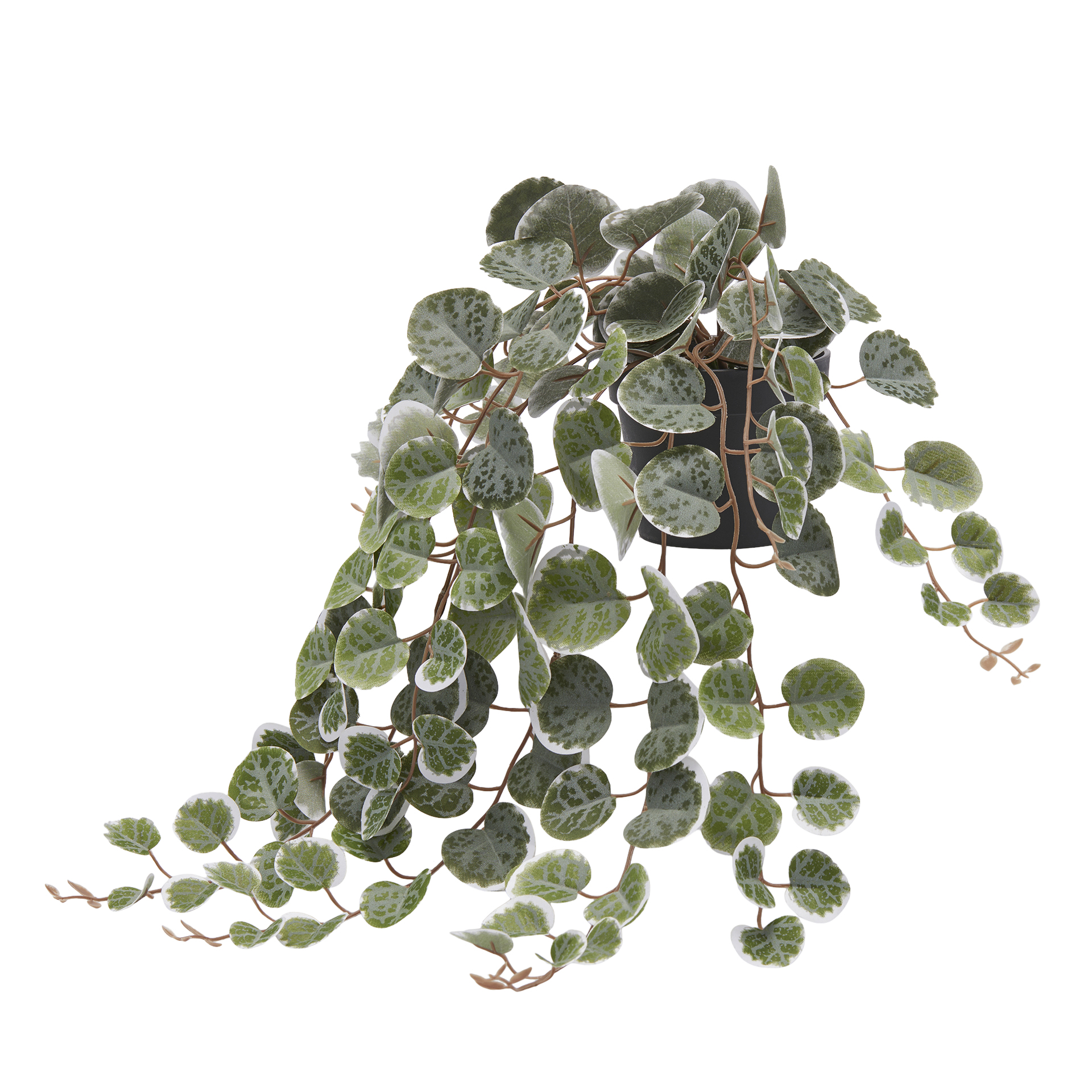 Edg Kunstblume Seidenpflanze Grün H: 40 cm Grün | Schubiger Möbel