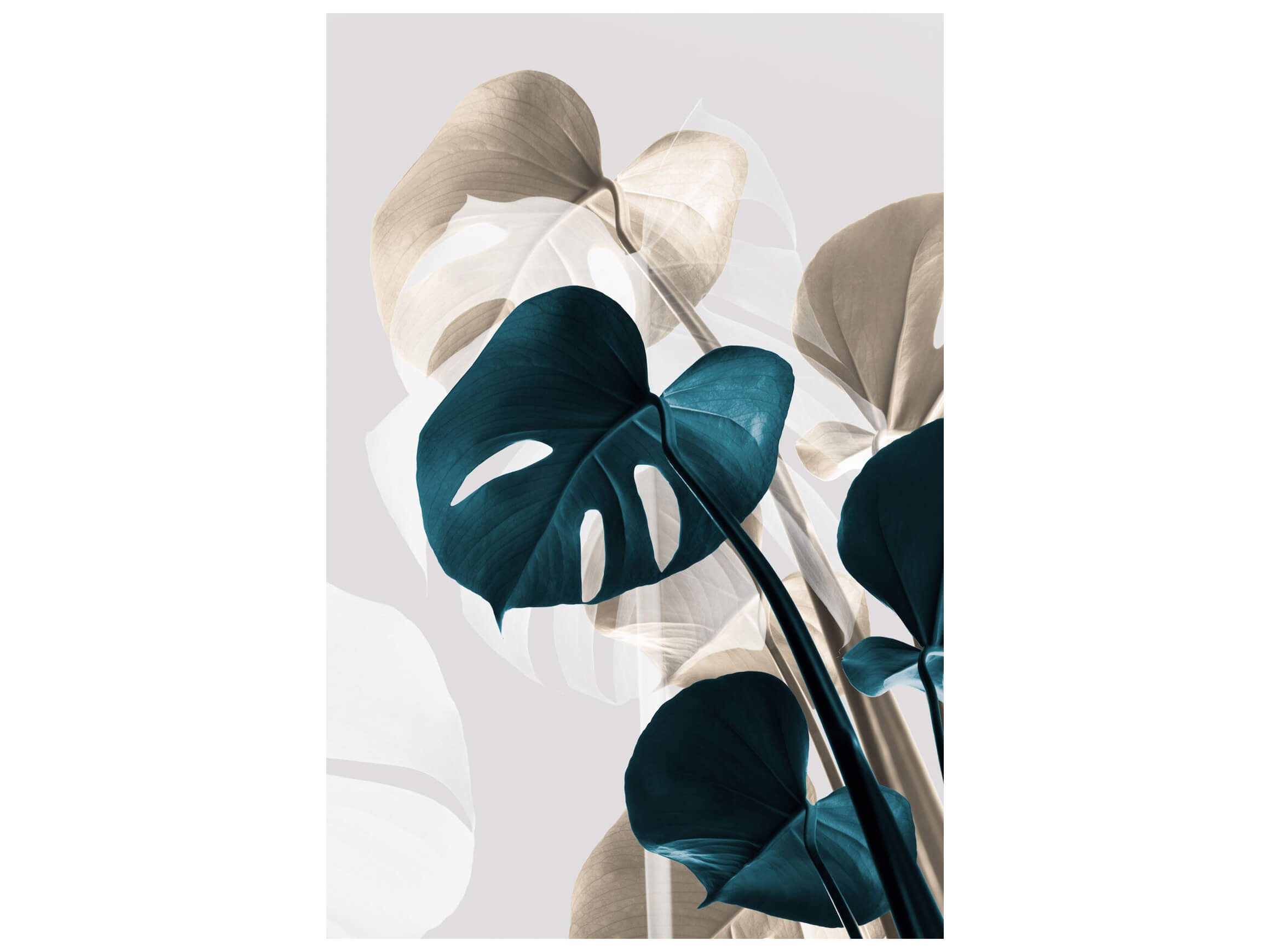 Picture system Monstera 3a ART