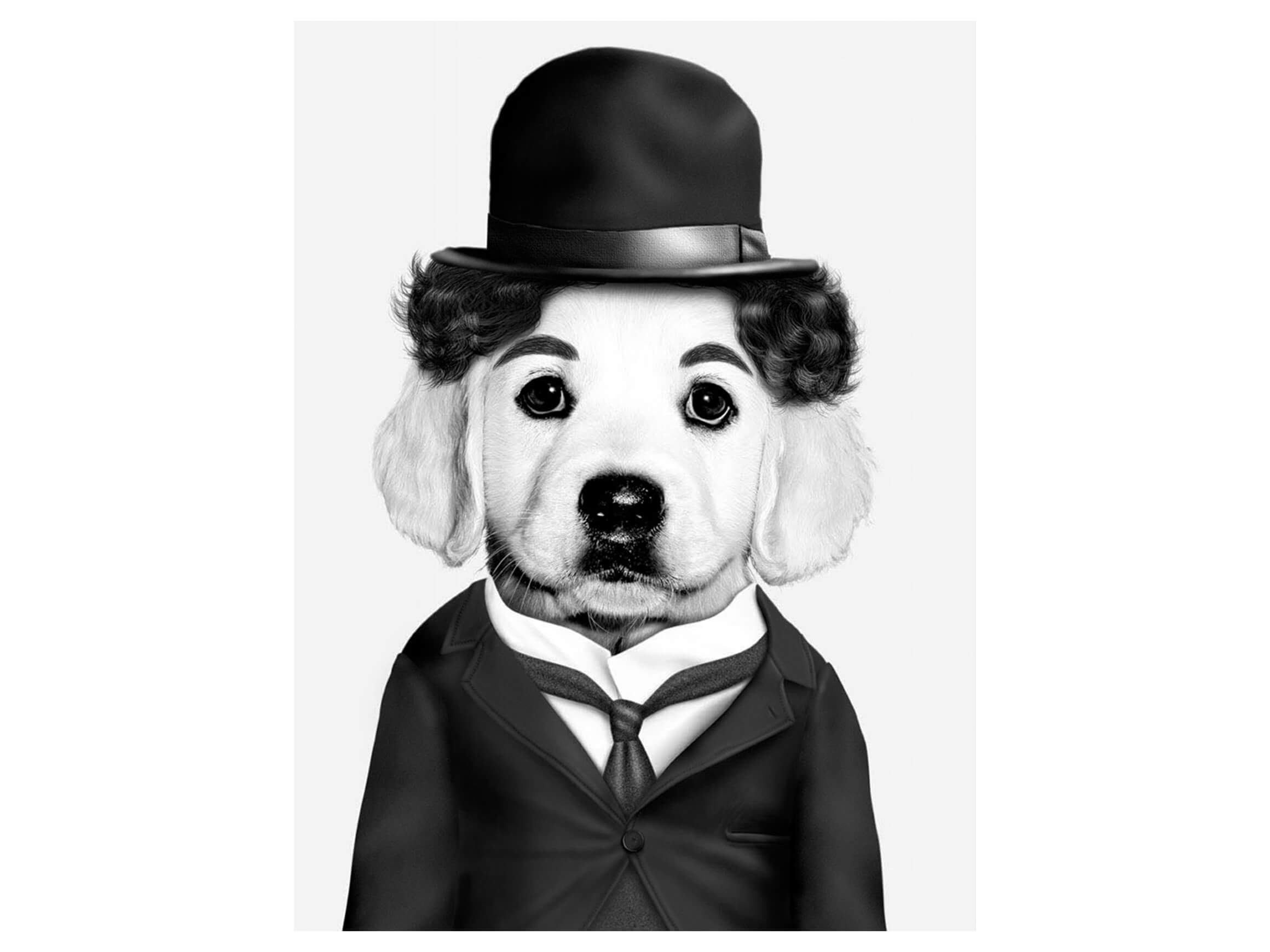 Digitaldruck auf Glas Stummfilm Star image LAND