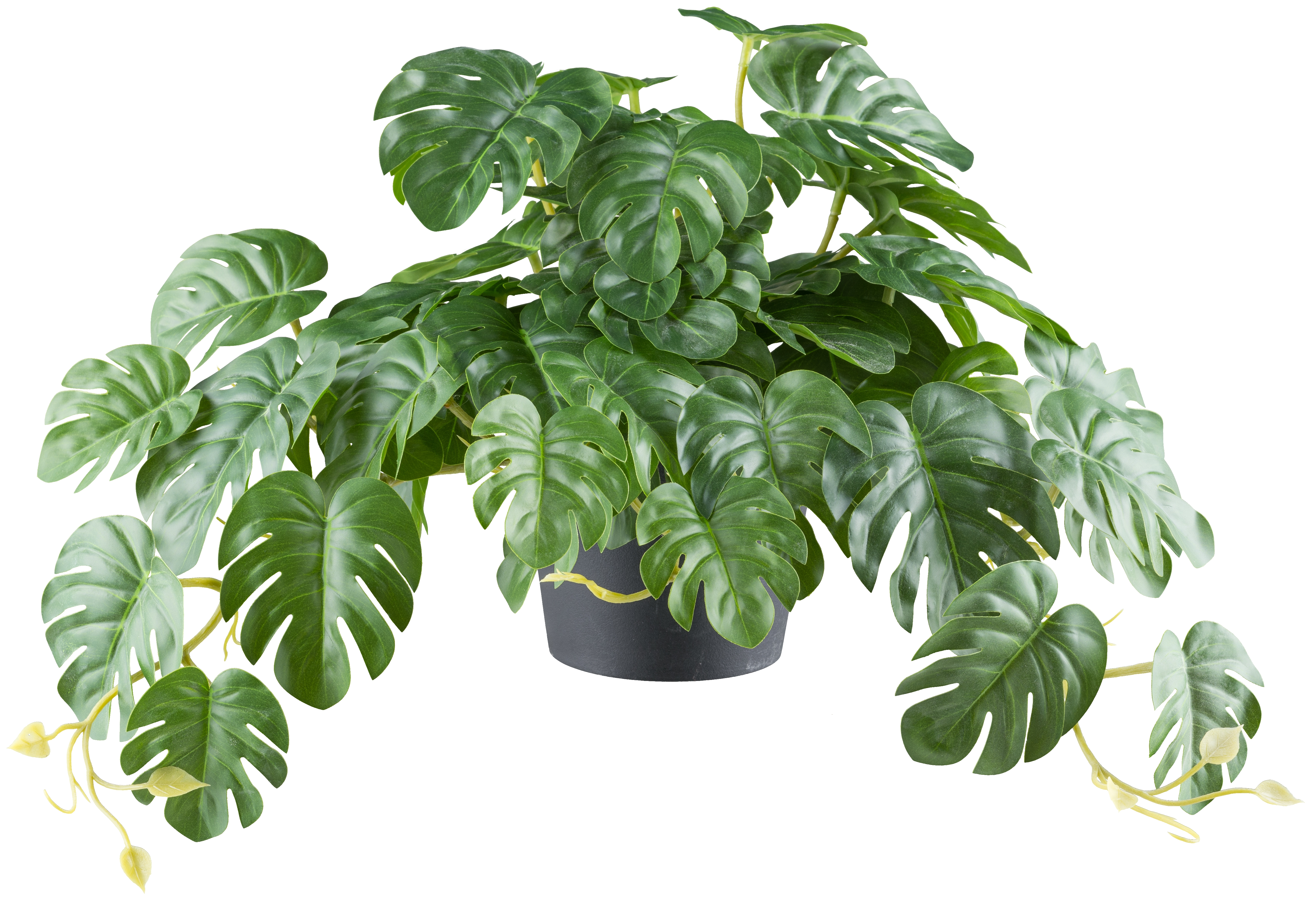 Kunstpflanze Splitphilodendron Hänger, Grün von Roomio