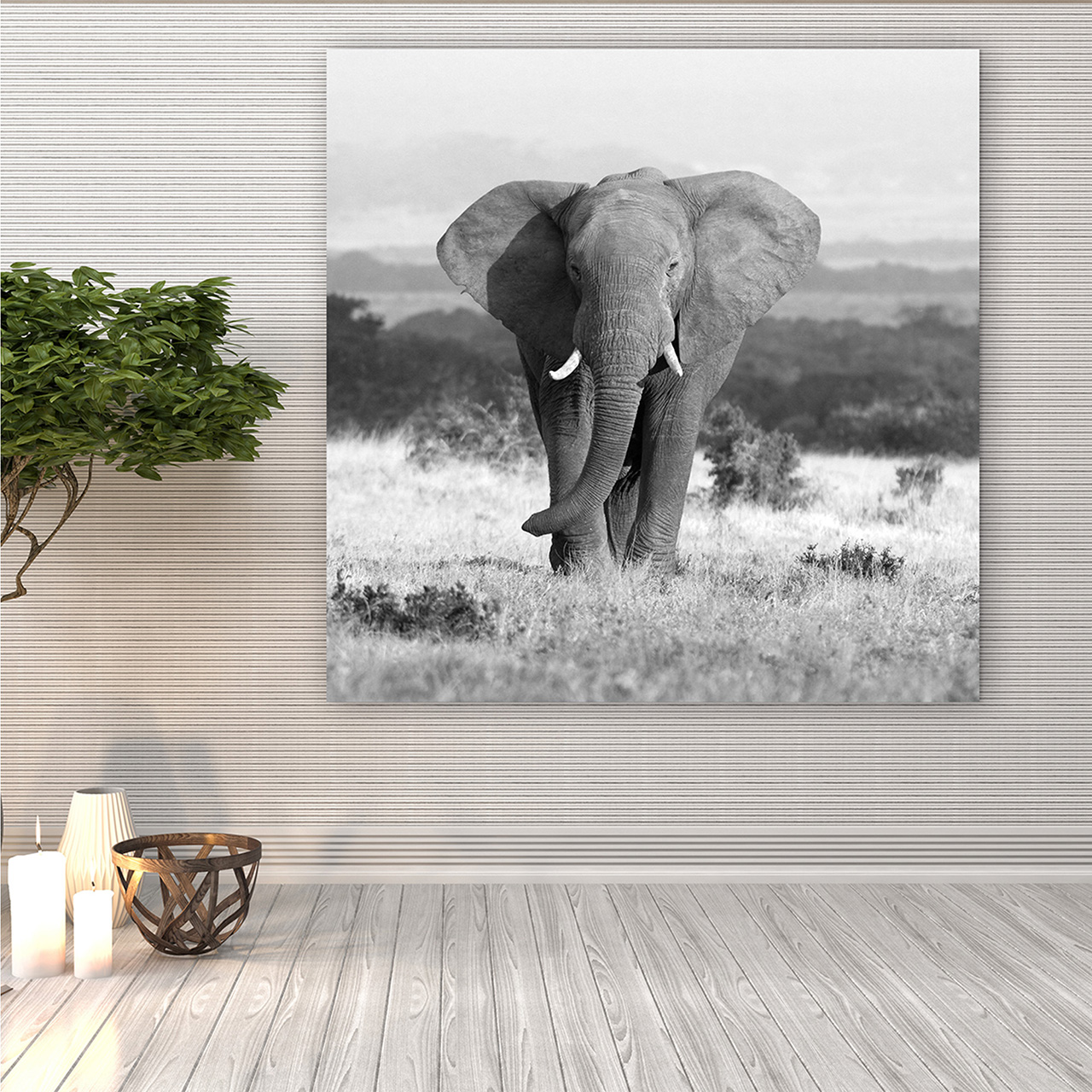 Canvas-Elefant in Der Steppe-image LAND