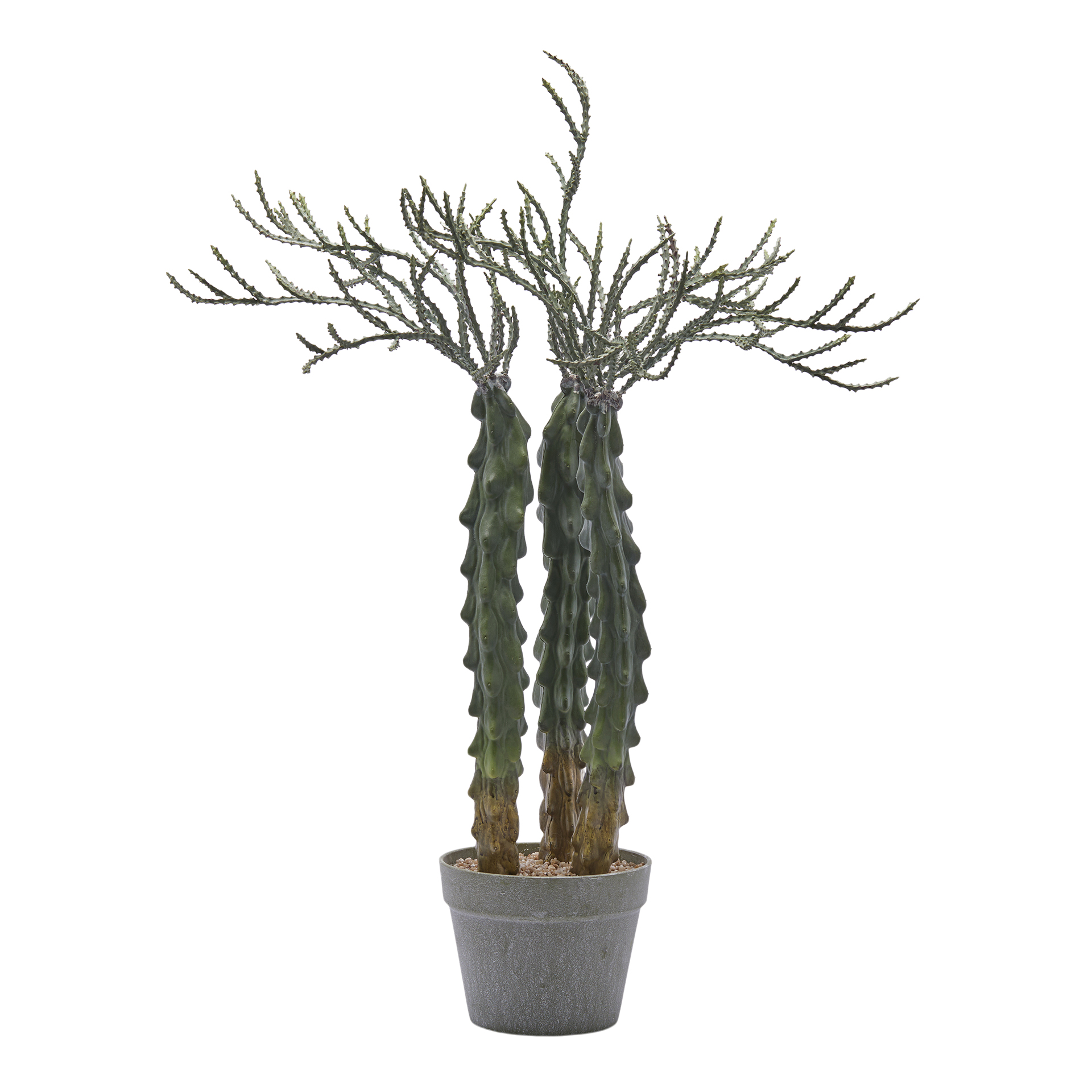 Edg Kunstpflanze Kakuts im Topf H: 80 cm  | Schubiger Möbel