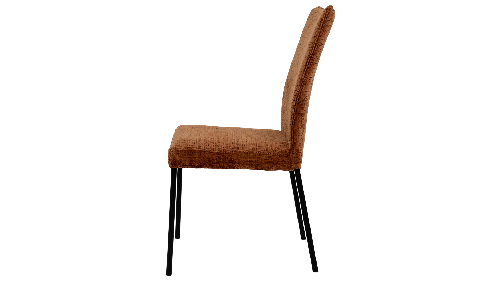 Focus chair Lüönd / Colour: Brown
