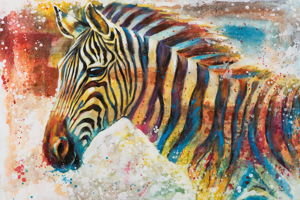 Bild Zebra in Farben image LAND
