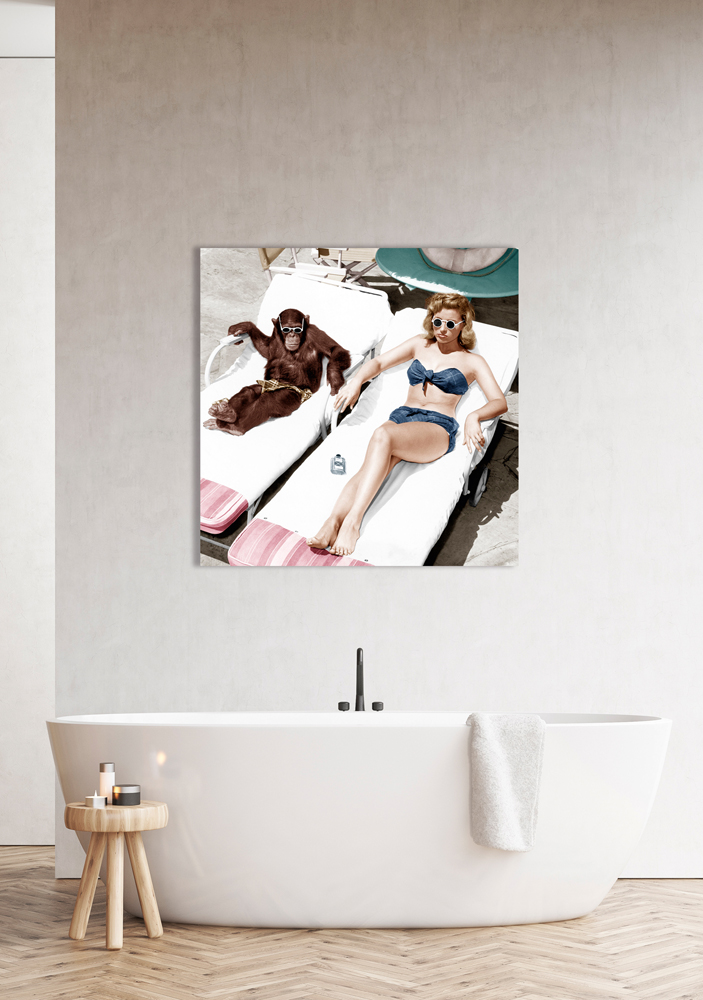 Alubild-Badenixe mit Schimpanse-image LAND