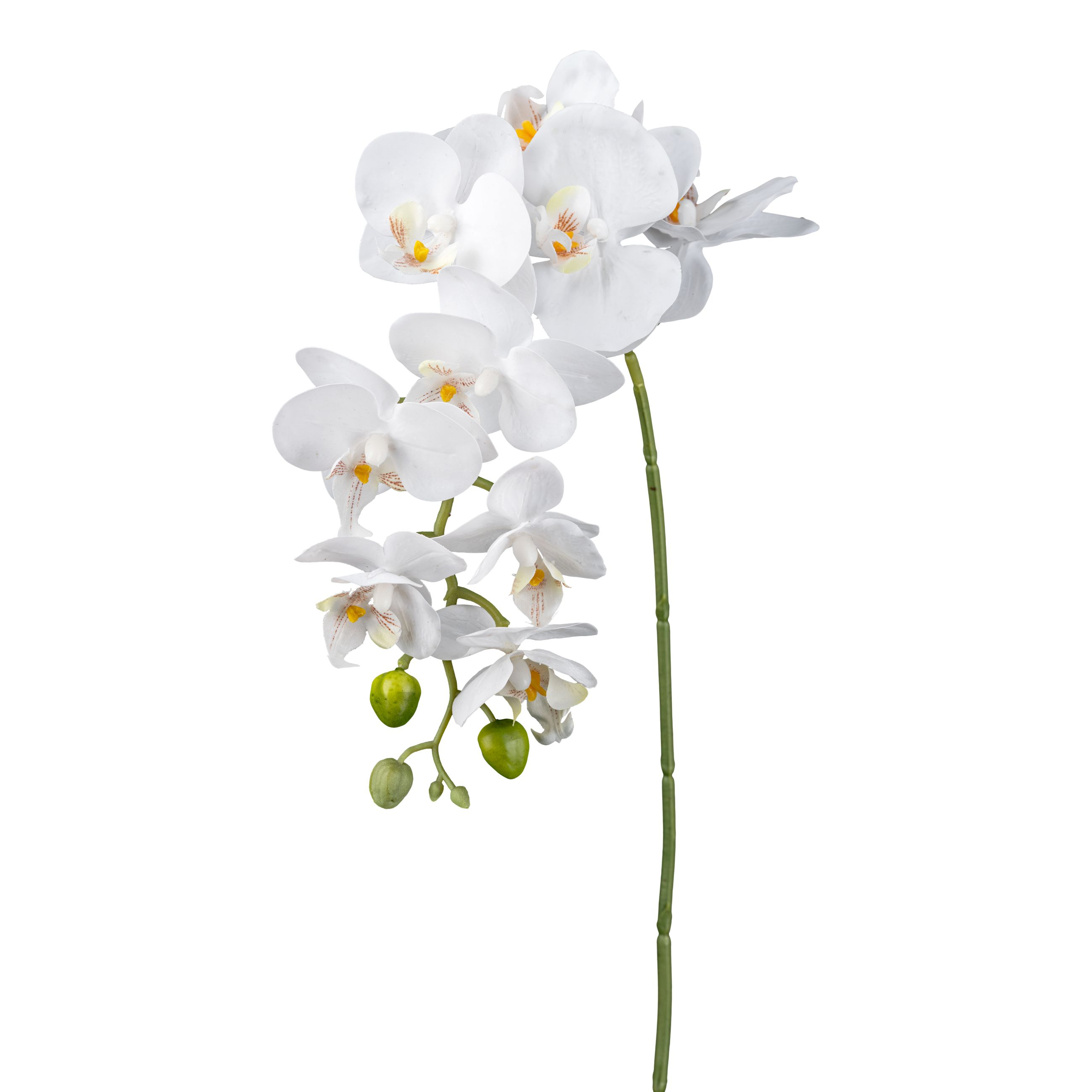 Gasper Kunstblume Orchideenzweig Weiss | Schubiger Möbel
