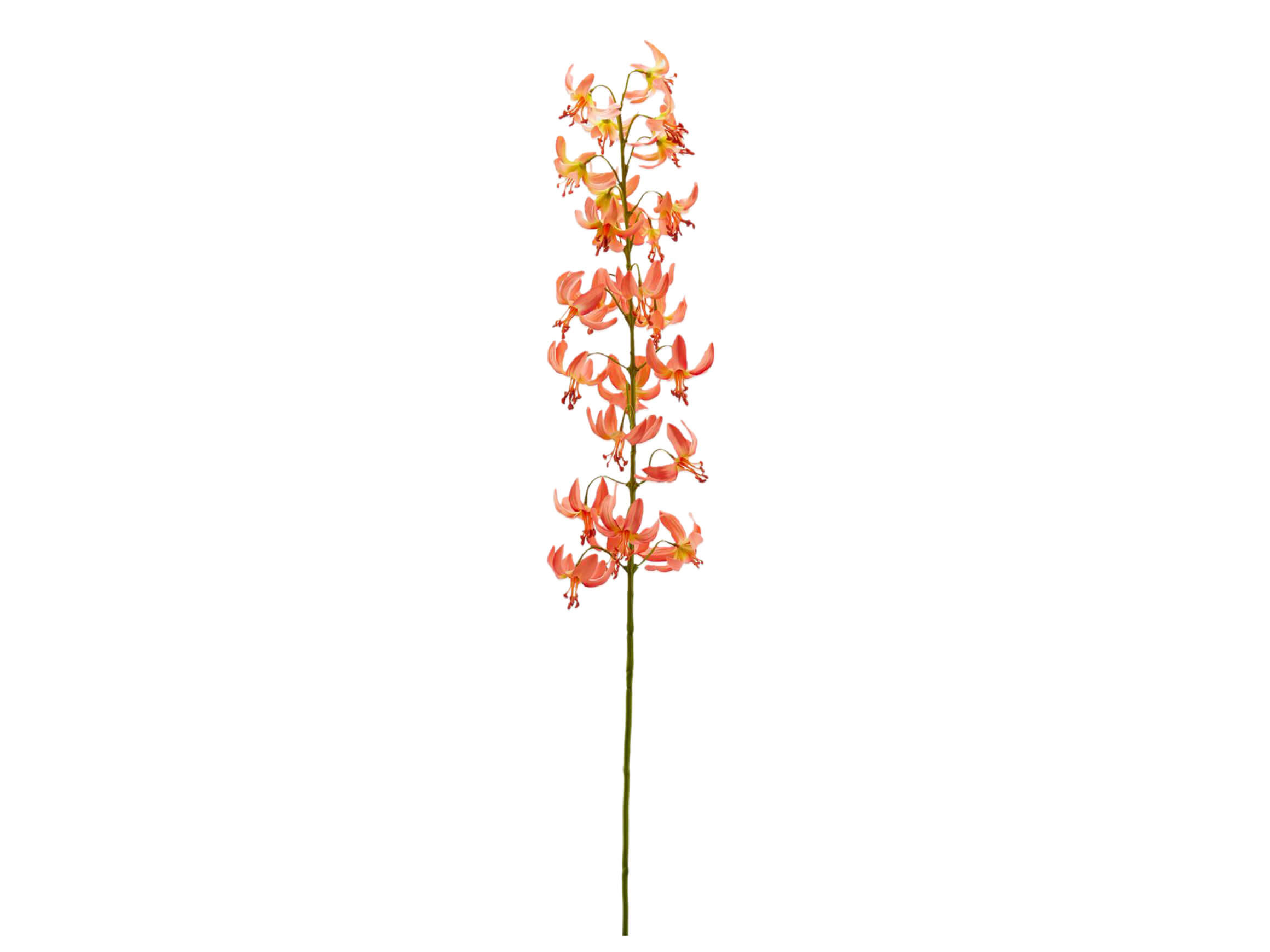 Edg Kunstblumen Lilie Lachs H: 105 cm  | Schubiger Möbel