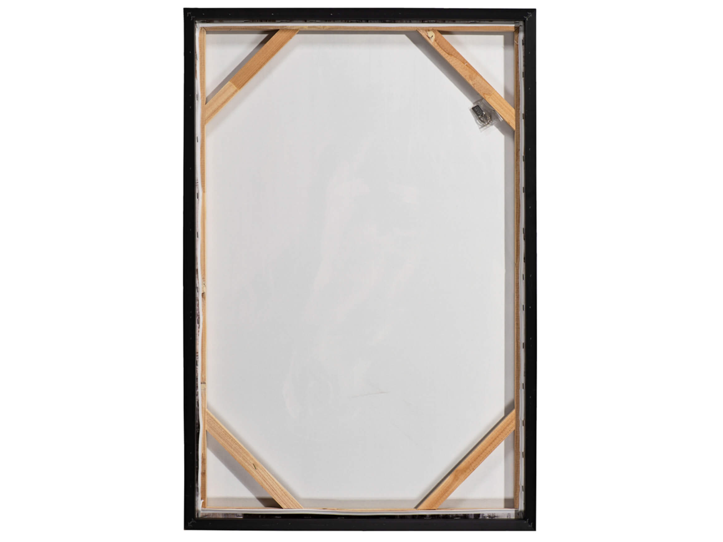 Bild Fashionbücher mit Flacon image LAND