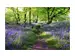 Digitaldruck auf Acrylglas Wald mit Lavendel 1 image LAND / Grösse: 150 x 100 cm