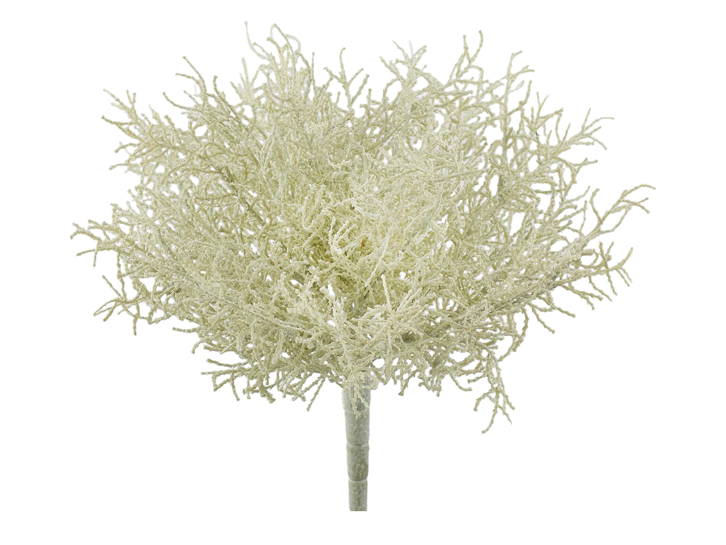 Edg Kunstblumen Heiligenkraut Salbei H: 28 cm  | Schubiger Möbel