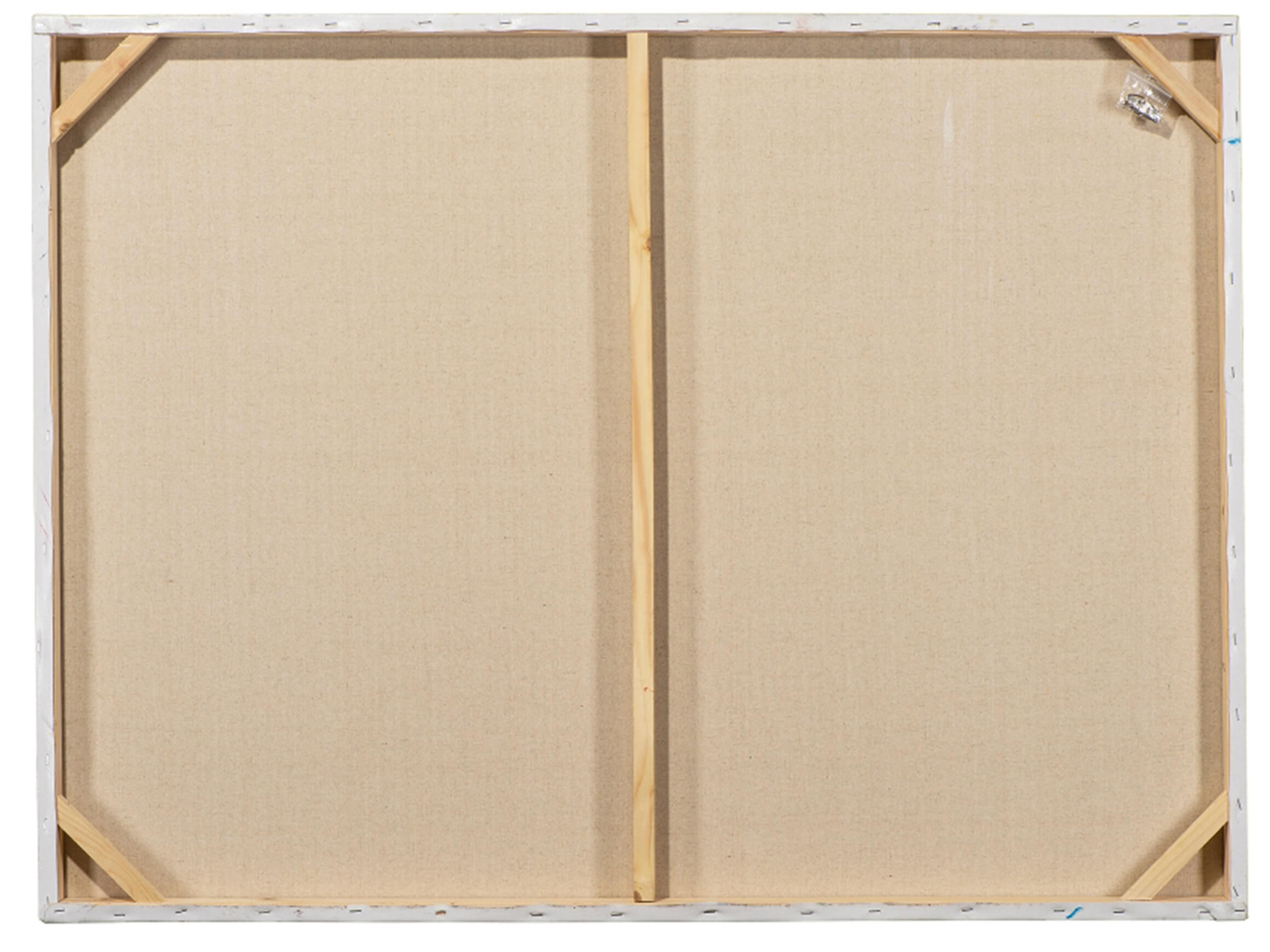 Bild Schönheit mit 2 Blauen Papageien image LAND