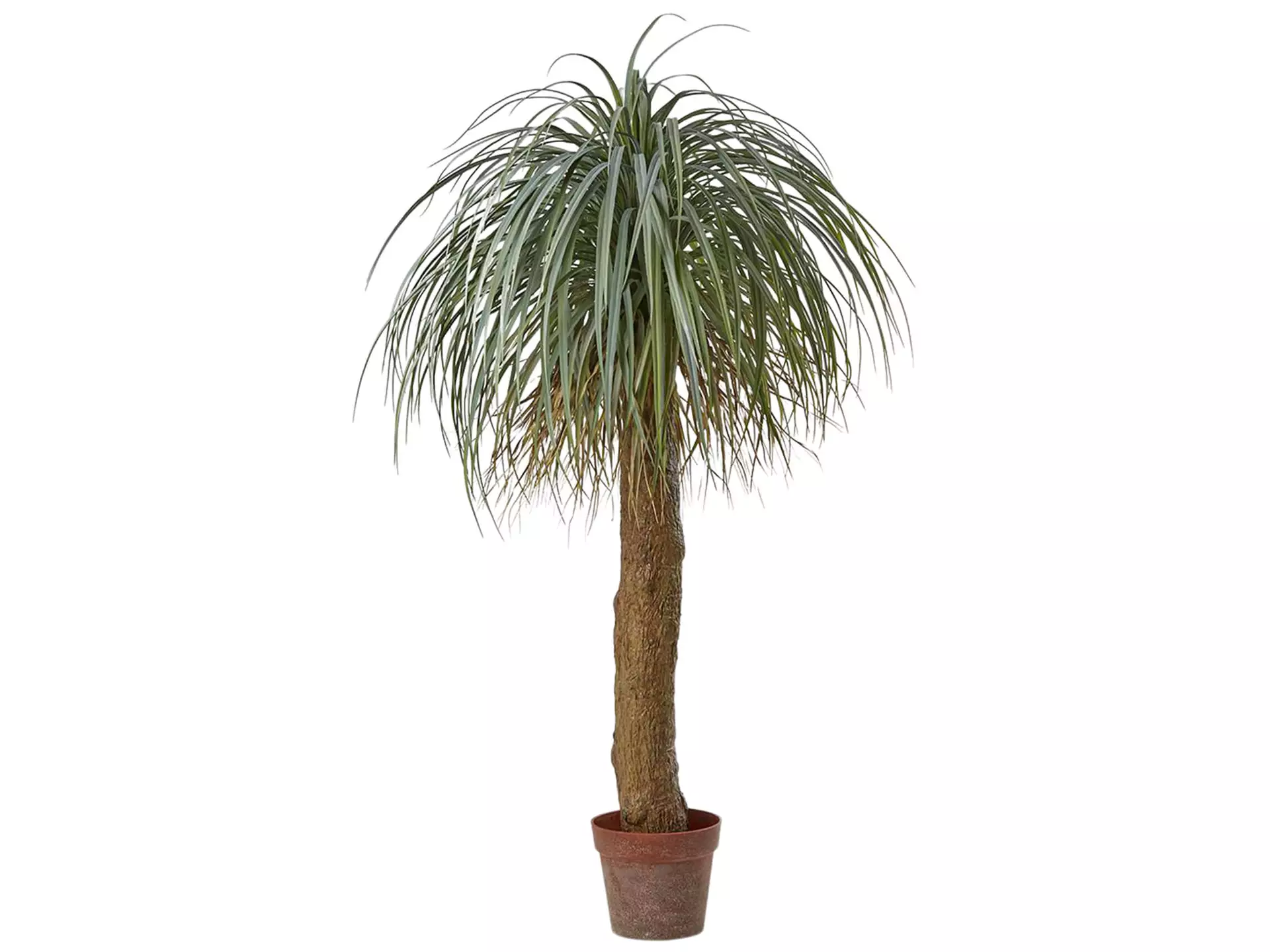 Kunstpflanze Palme Yucca h: 150 cm