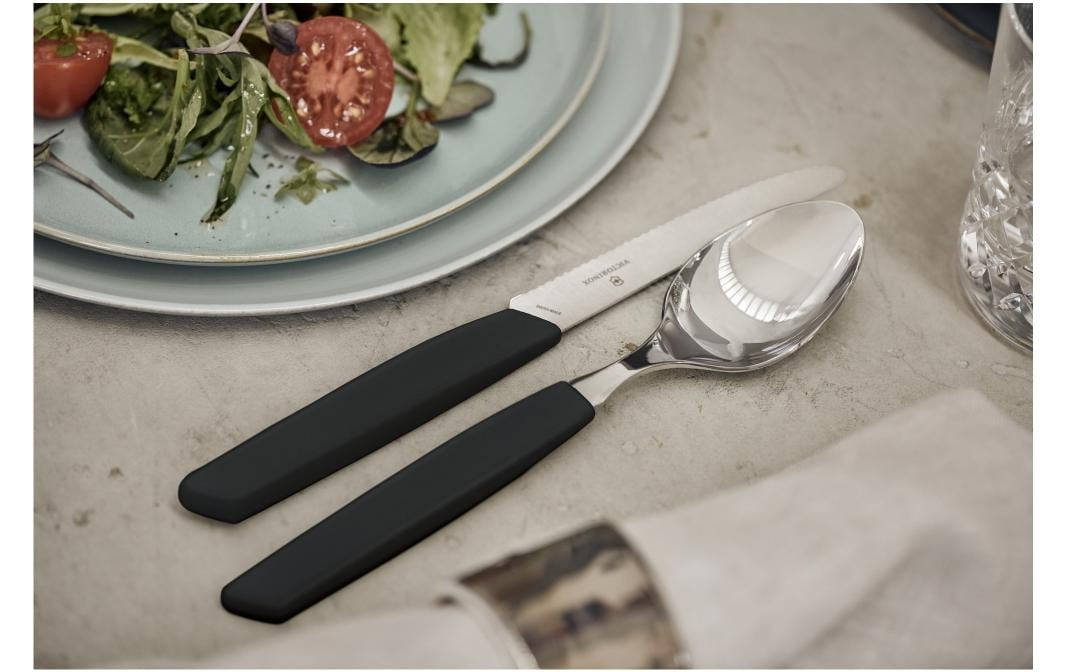 Besteck-Set-Swiss Modern, 24-teilig-Alltron