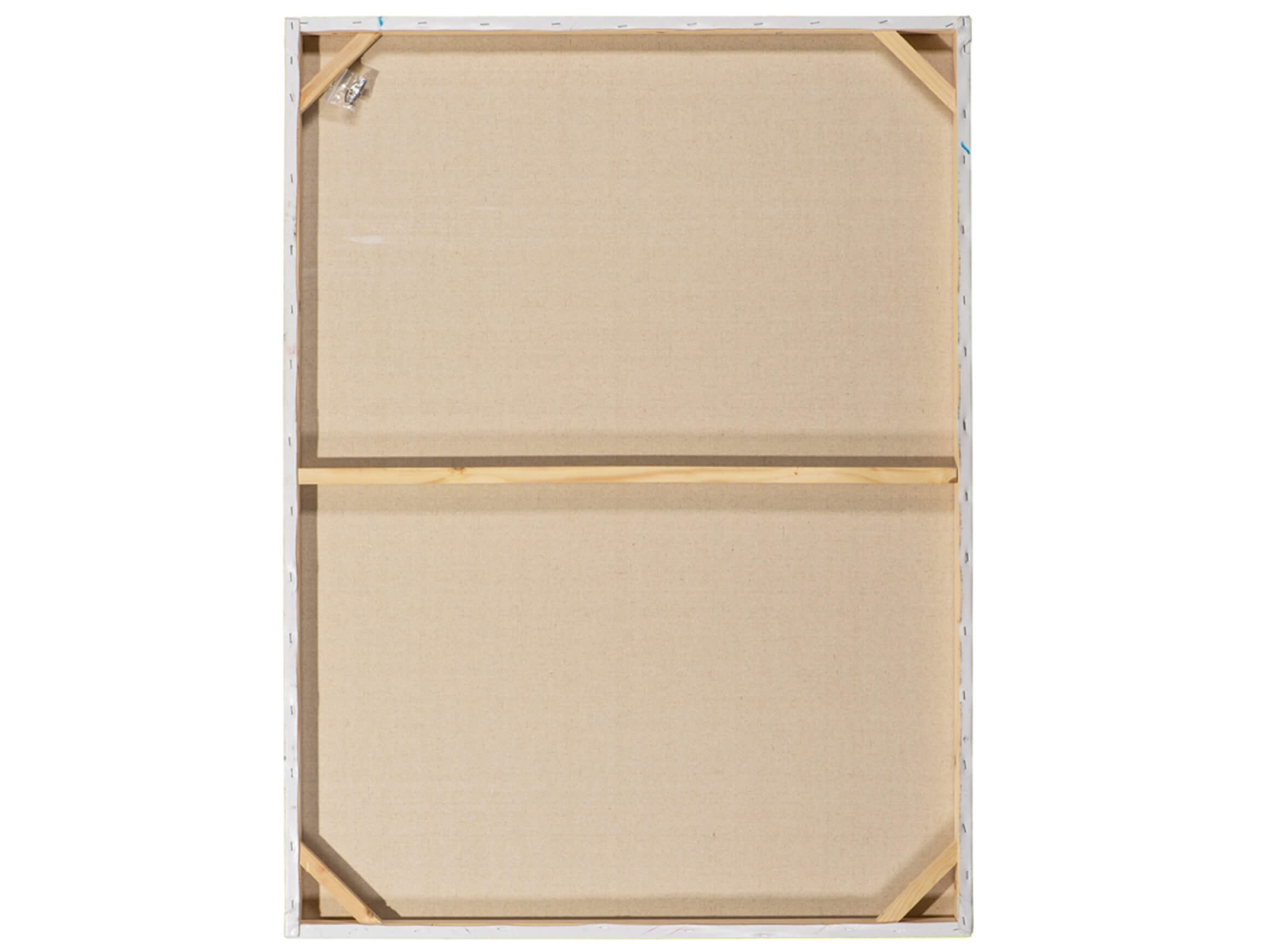 Bild Knicks Der Edeldame image LAND