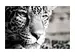 Digitaldruck auf Acrylglas Leopard image LAND / Grösse: 120 x 80 cm