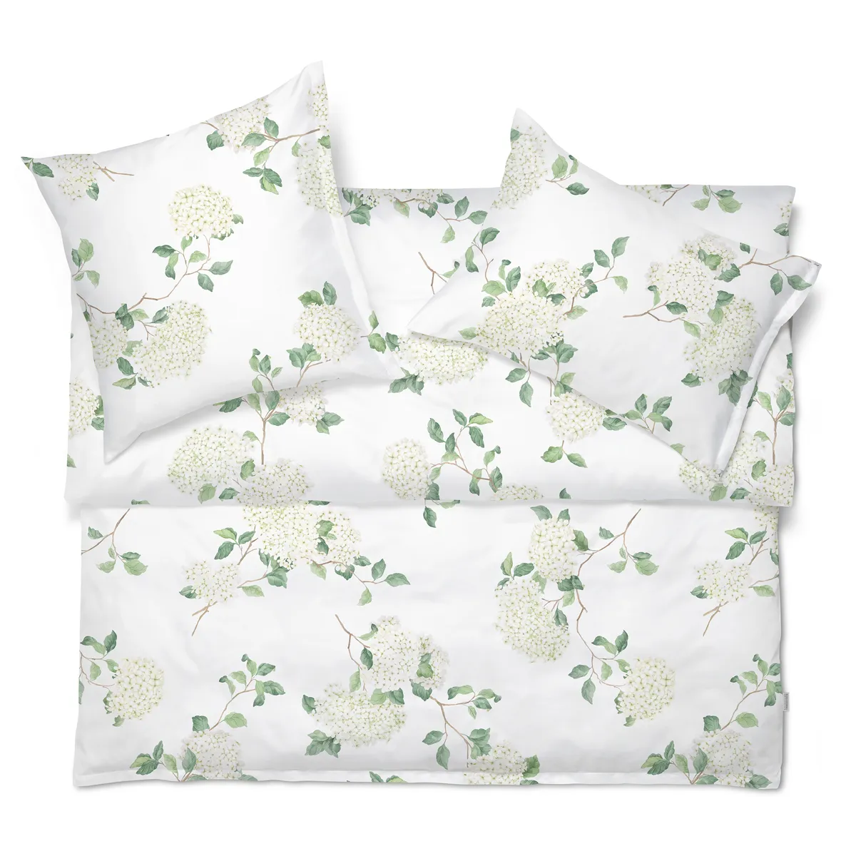Hortensia Noblesse