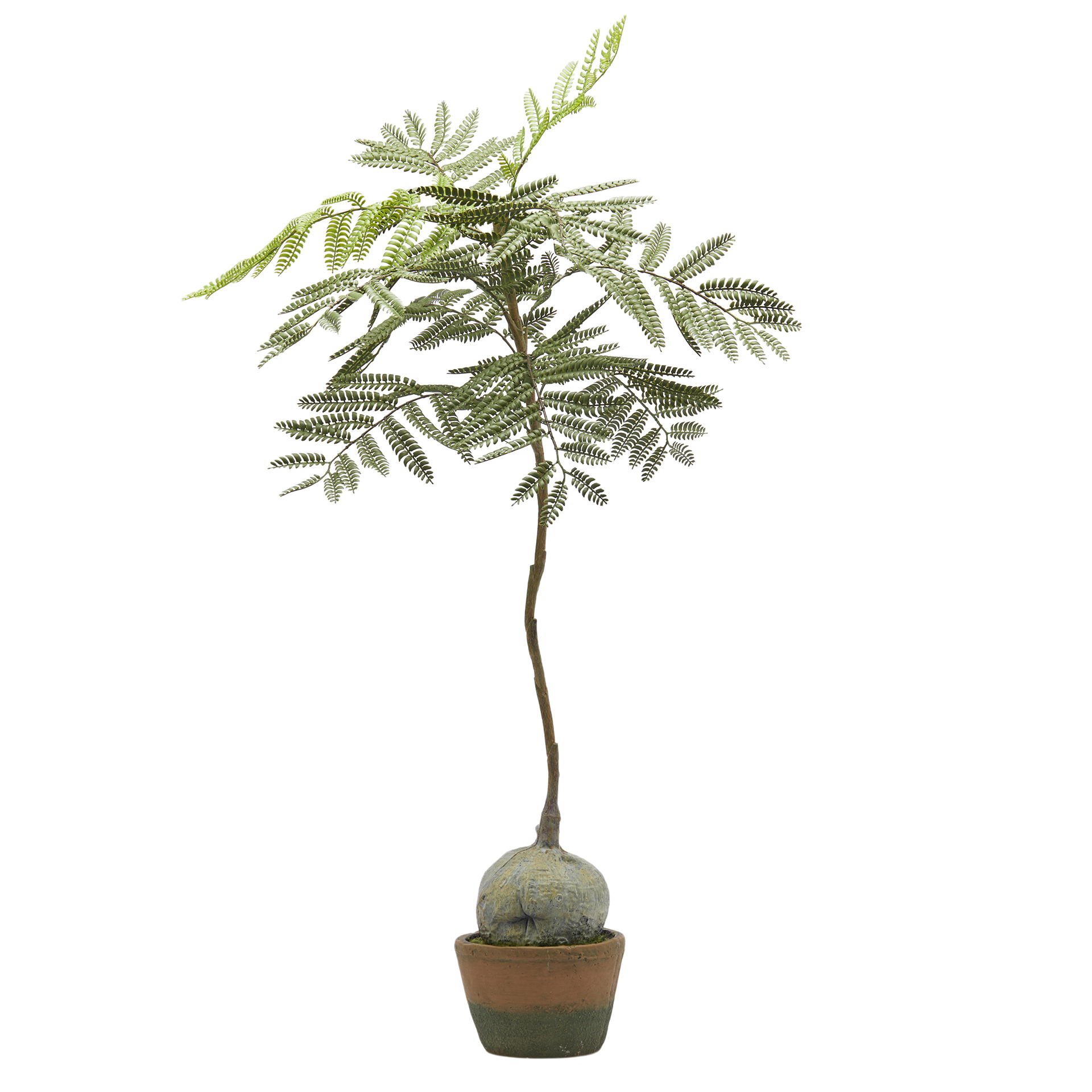 Kunstpflanze-Palisanderbaum H: 98 cm-Edg