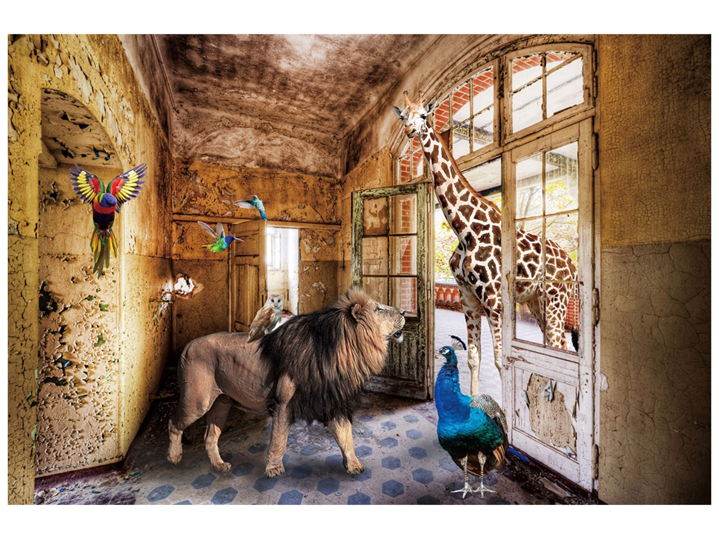 Digitaldruck auf Glas Dschungeltiere Suchen Ein Zuhause image LAND