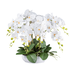 Kunstpflanze Orchidee im Keramiktopf H: 50 cm Gasper / Farbe: