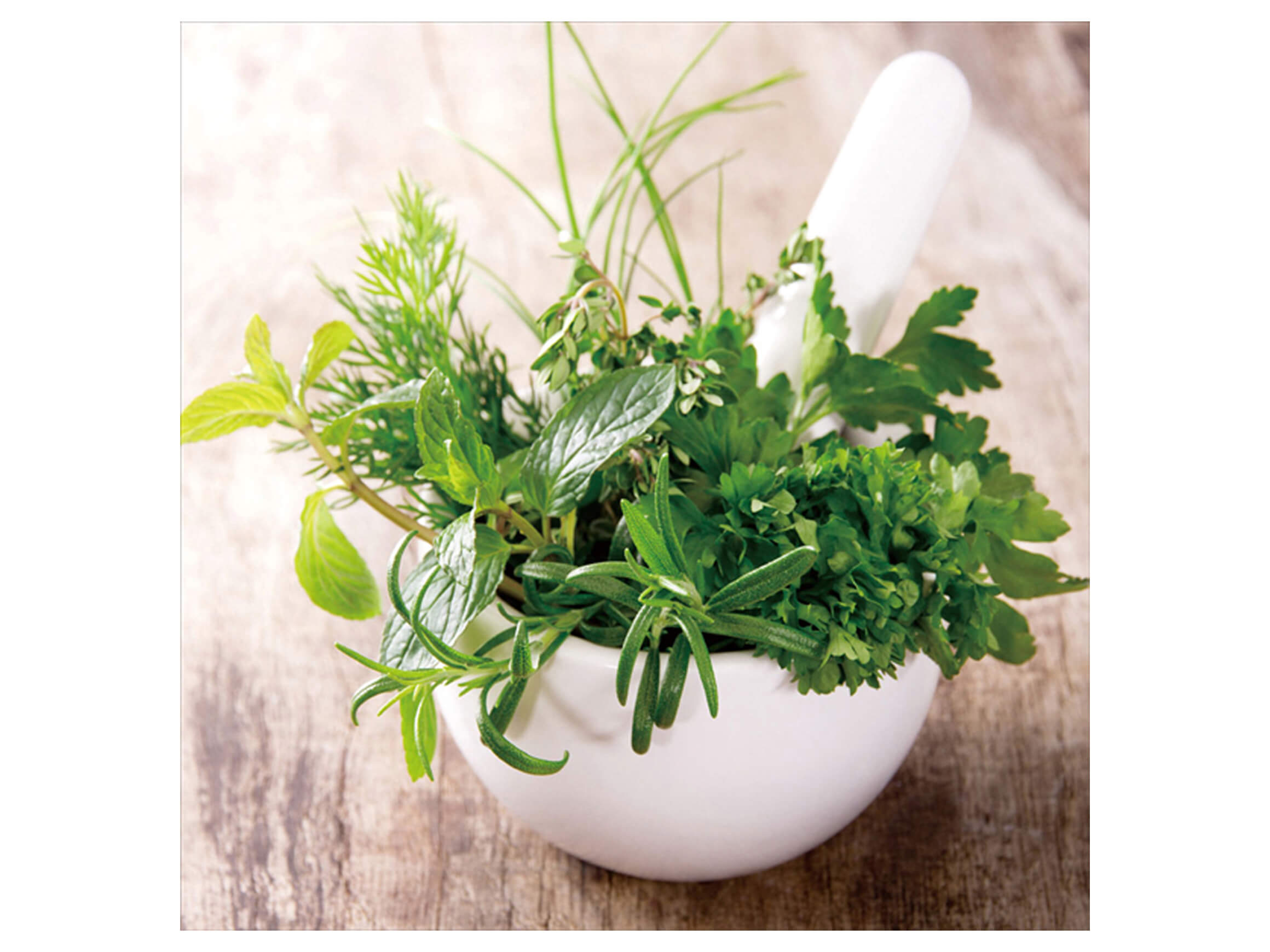 Herbes dans un mortier