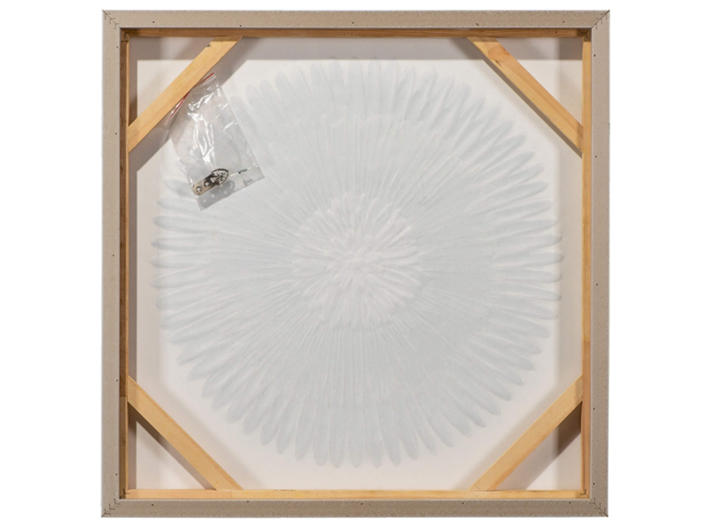 Bild mit Rahmen Cellospieler mit Zuschauern image LAND