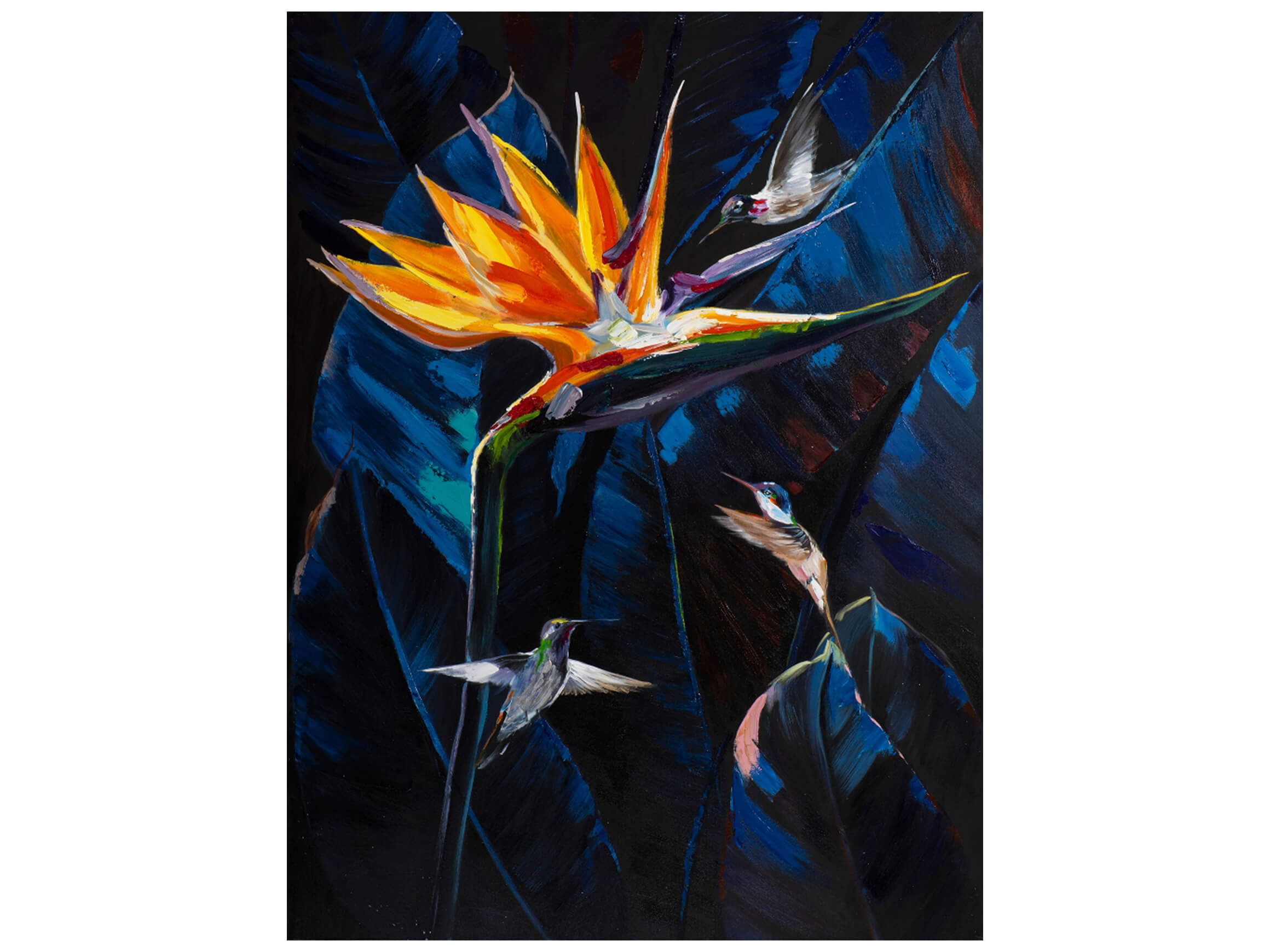 Bild Paradiesvogelblume Strelitzia image LAND