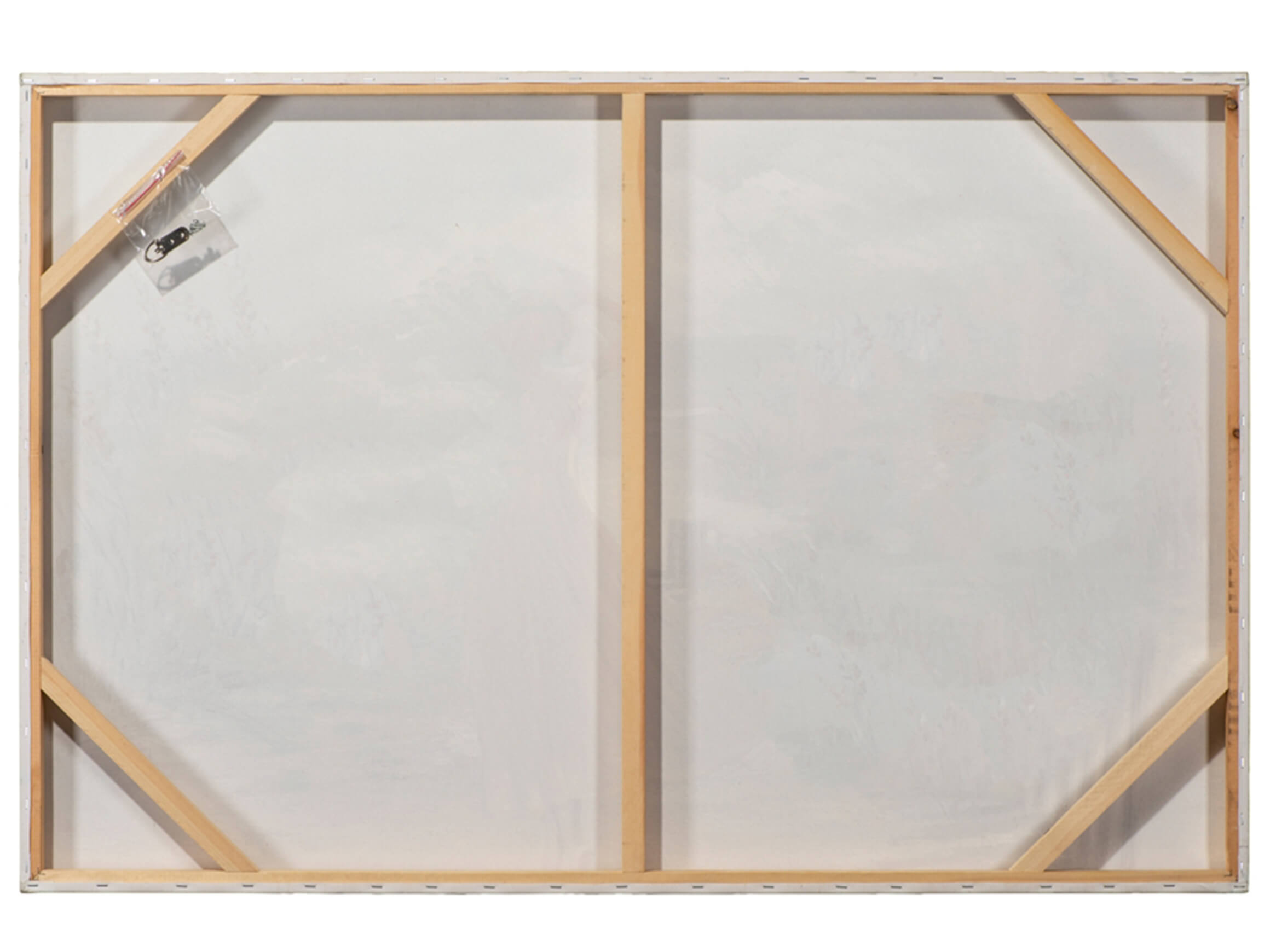 Bild Schönheit am Meer image LAND