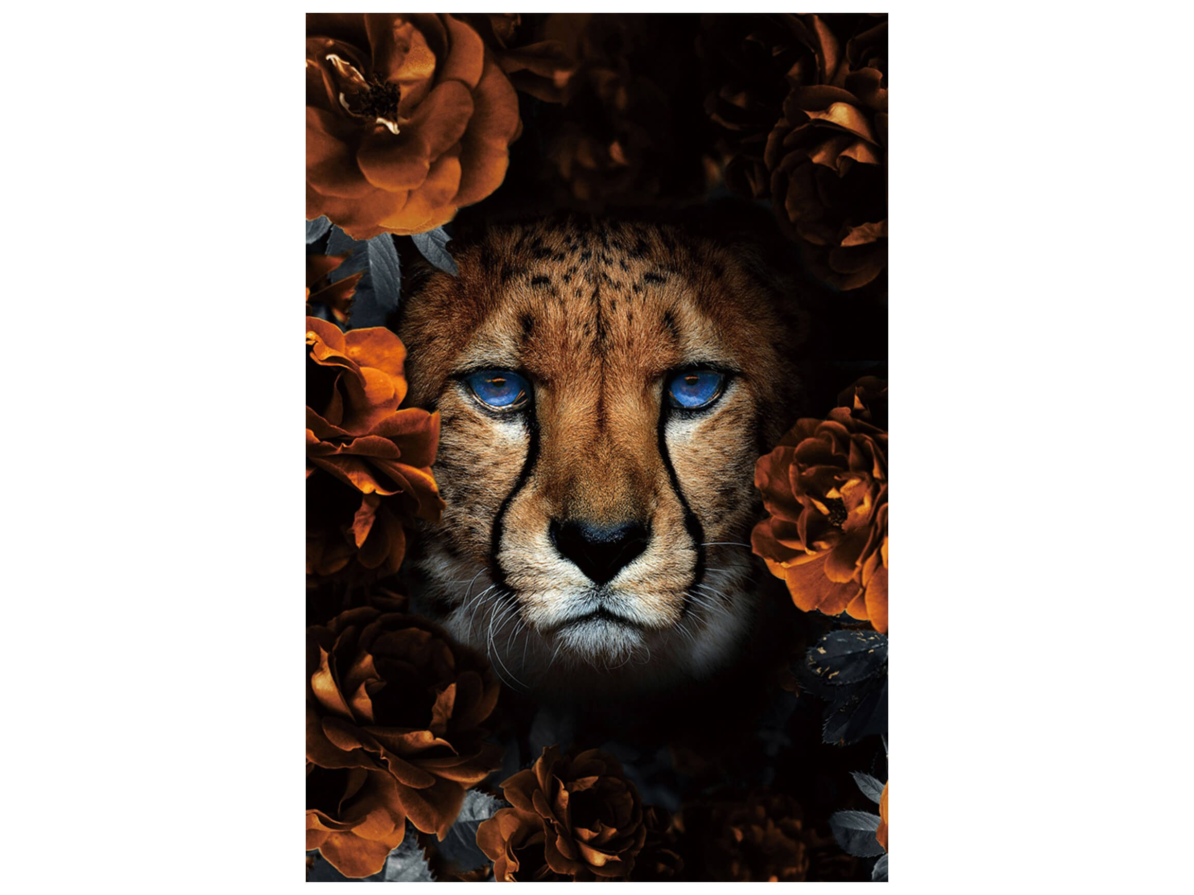 Digitaldruck auf Glas Leopard mit Blumen image LAND