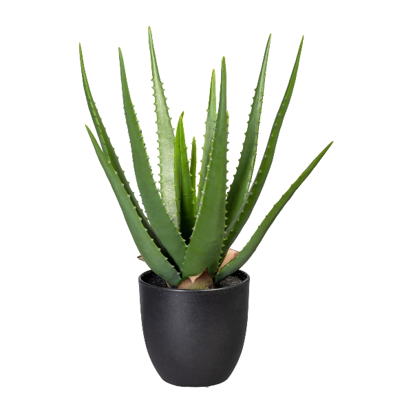 Gasper Kunstpflanze Aloe im Kunstofftopf, Grün H: 47 cm  | Schubiger Möbel