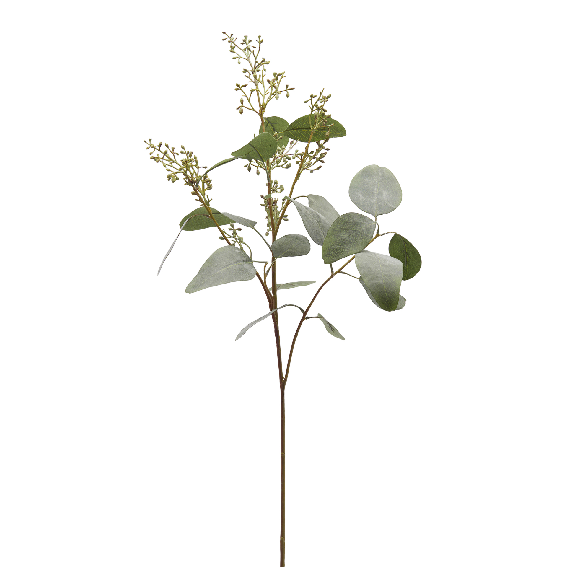 Edg Kunstblume Eucalyptus H: 97 cm  | Schubiger Möbel