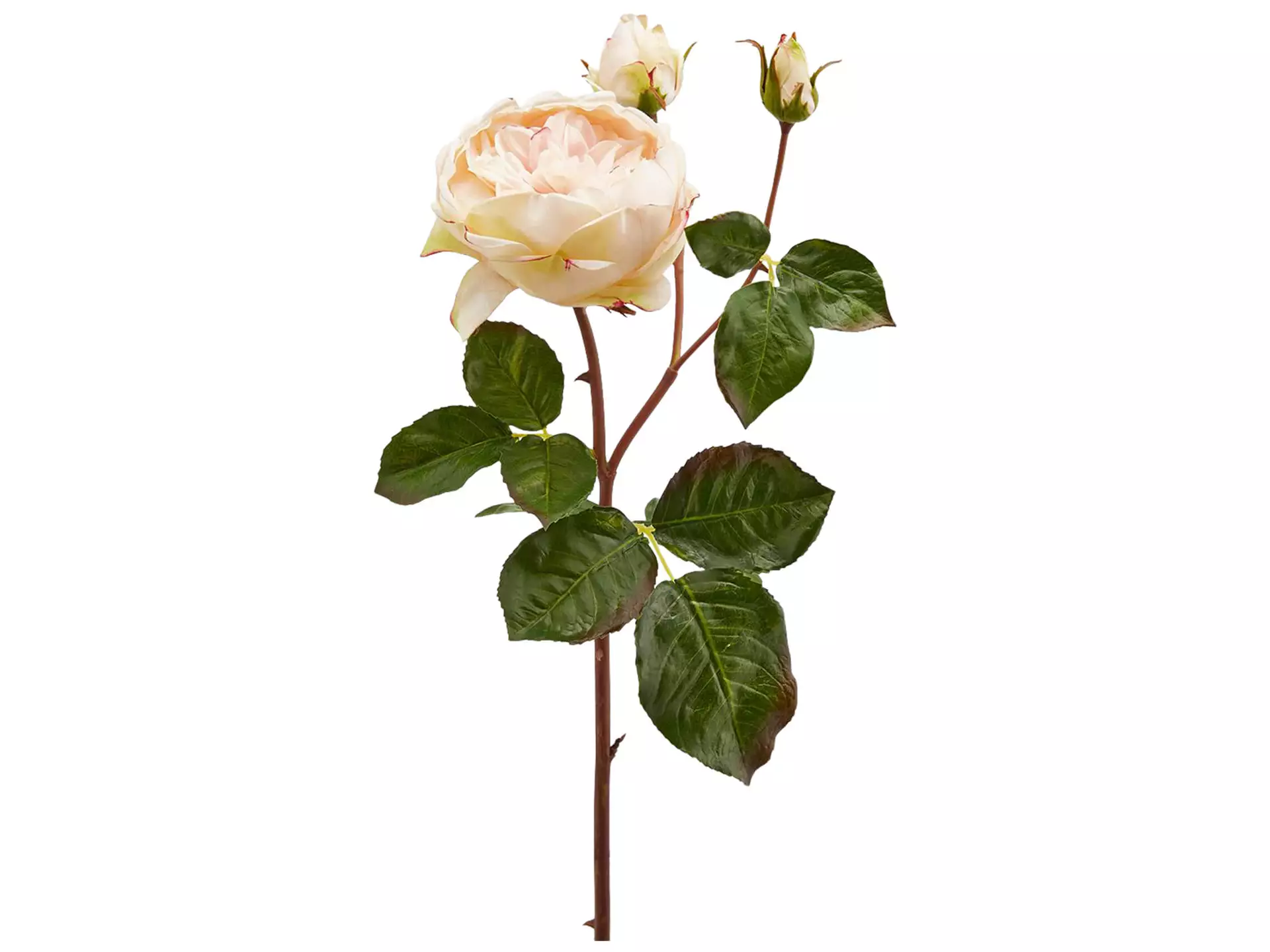 Kunstblume Englische Rose Creme H: 57 cm Edg / Farbe: Creme