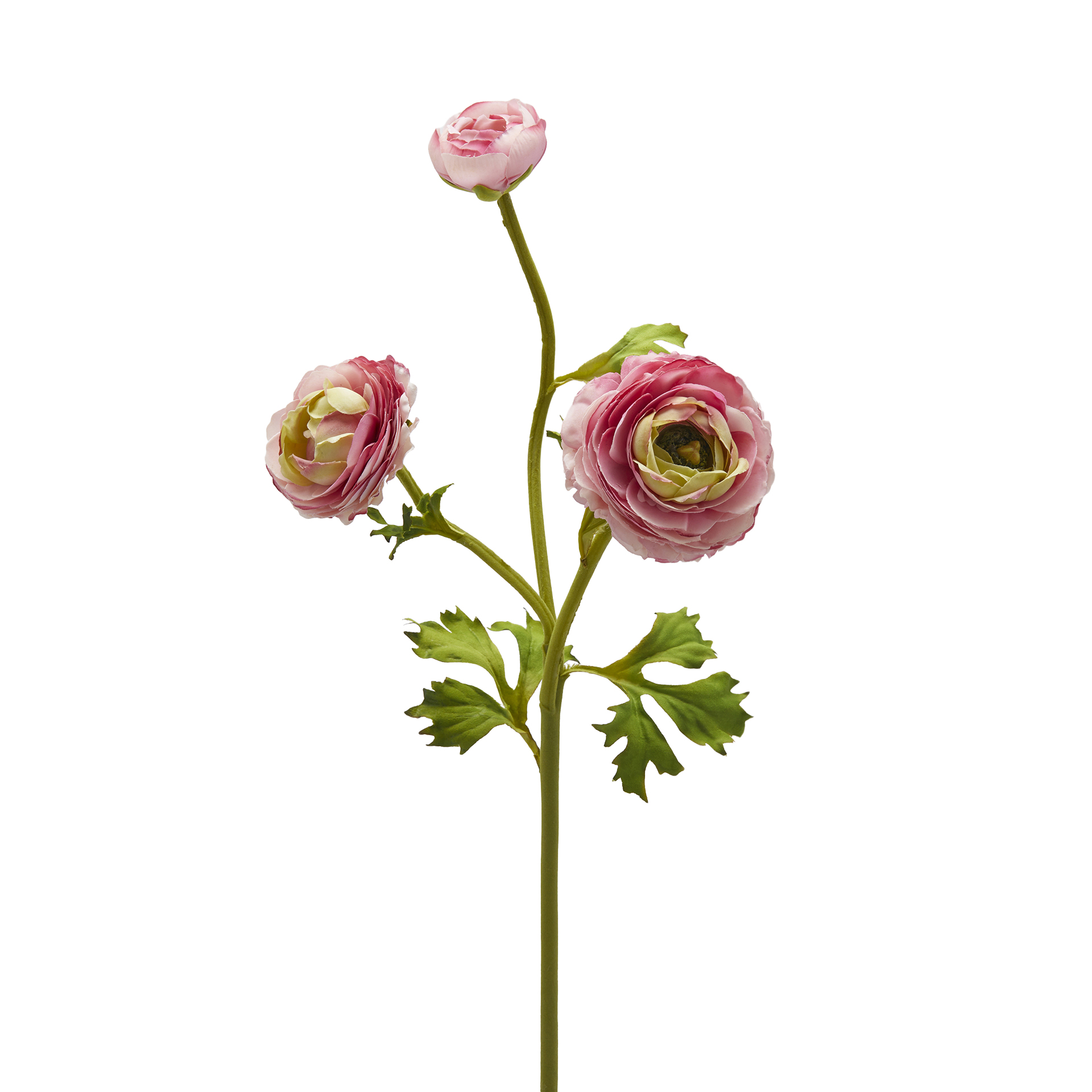 Edg Kunstblume Ranunkel H: 60 cm  | Schubiger Möbel