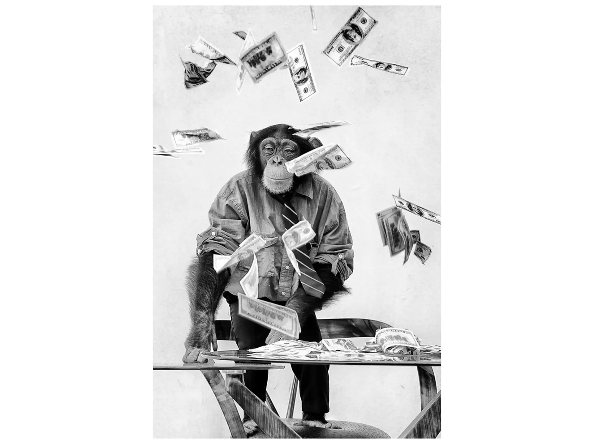Digitaldruck auf Glas Schimpanse im Geldregen image LAND / Grösse: 90 x 60 cm