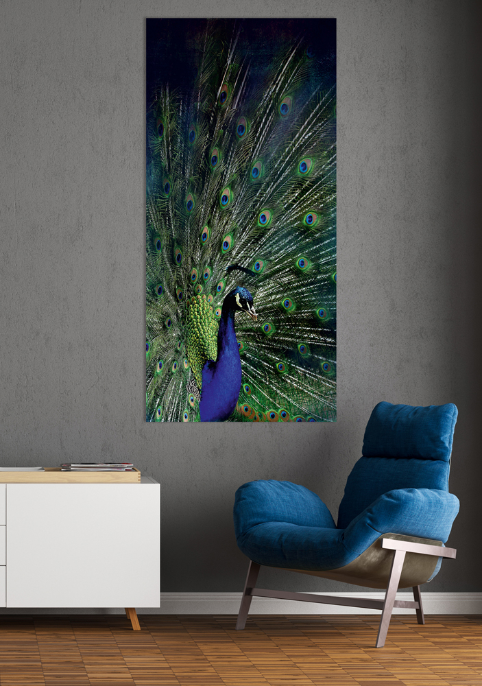 Alubild-Majestätischer Pfau-image LAND