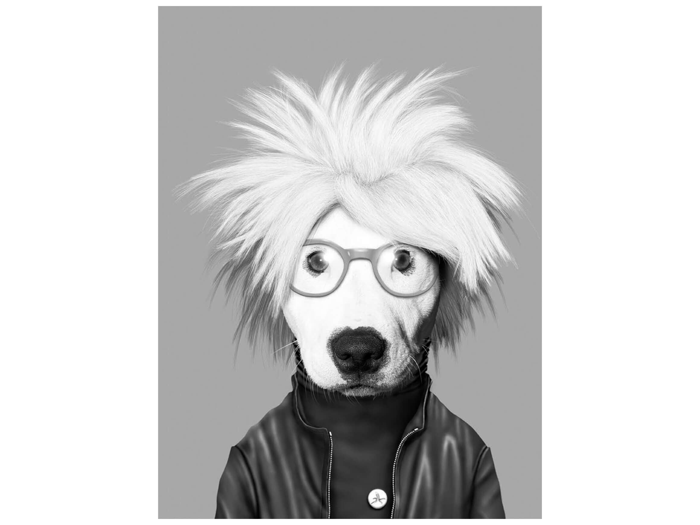 Digitaldruck auf Glas Pop Art Legende image LAND