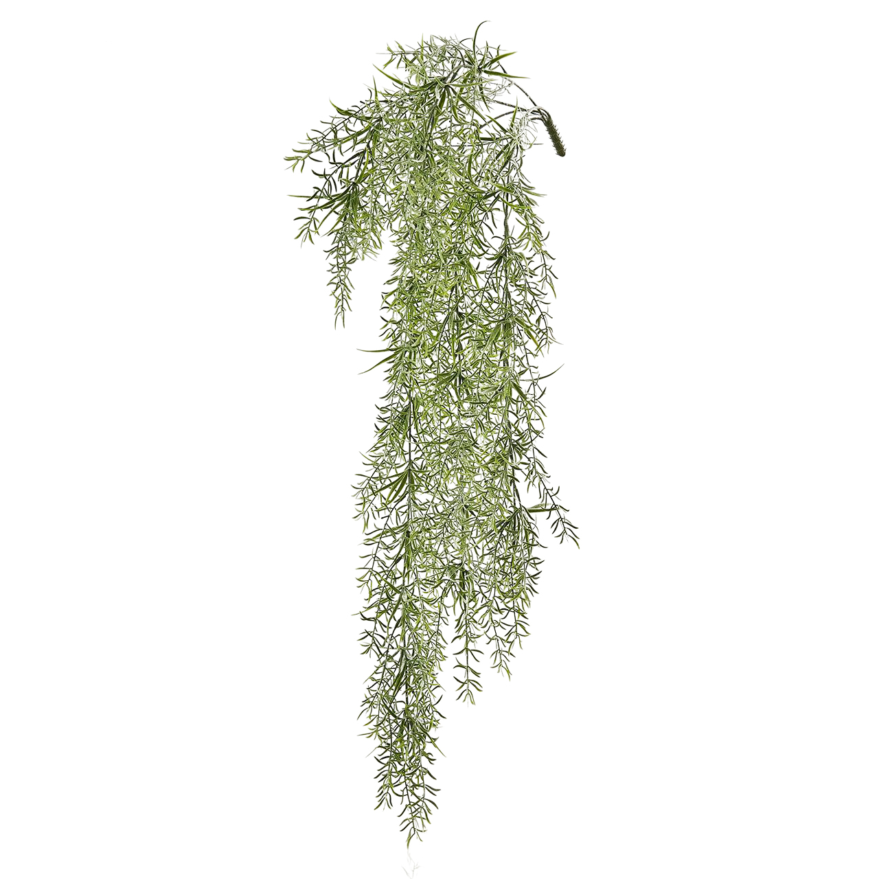 Kunstblume Asparagus H: 86 cm Edg