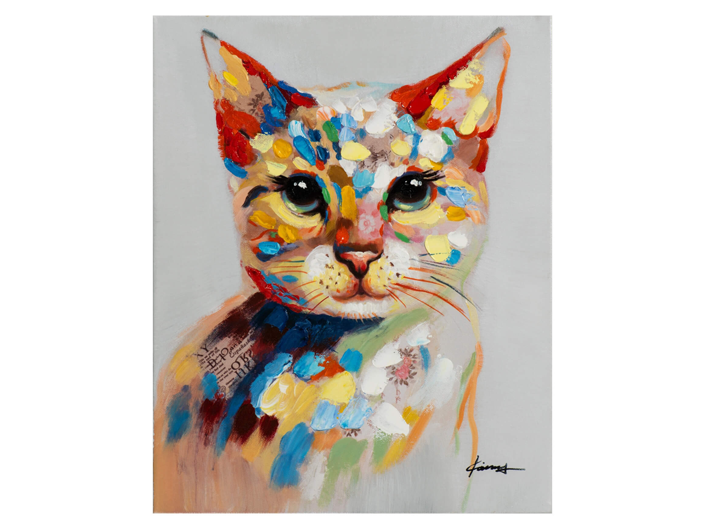 Bild Buntes Kätzchen image LAND