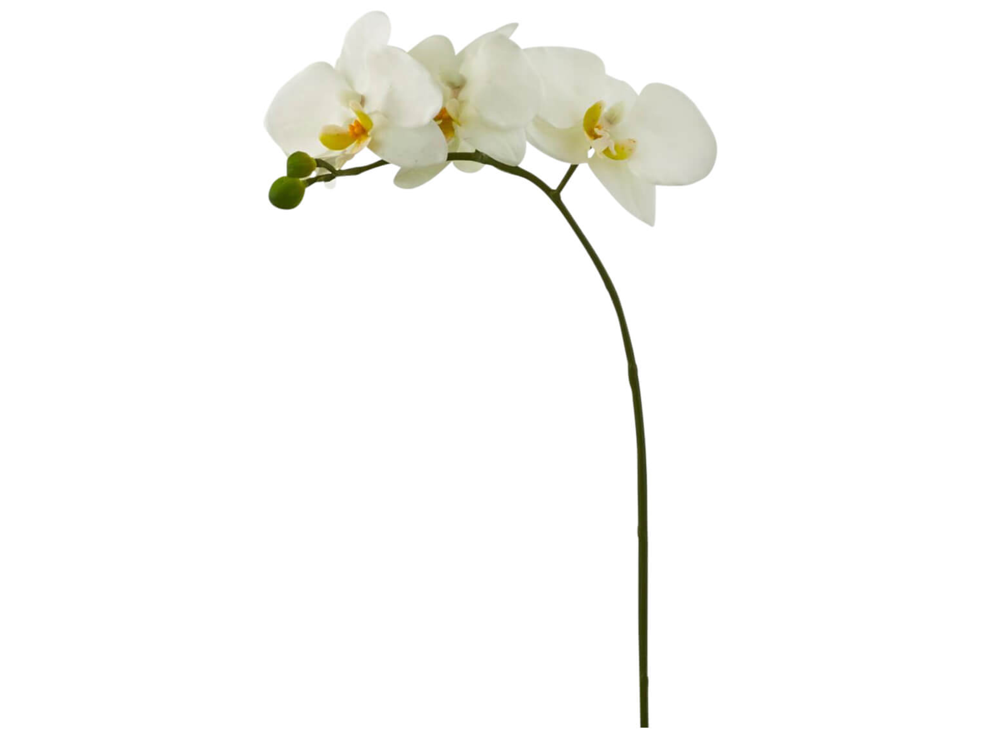 Kunstblume, Kleine Orchidee, Weiss, h 37 cm Kunstblume, Kleine Orchidee, Weiss, h 37 cm