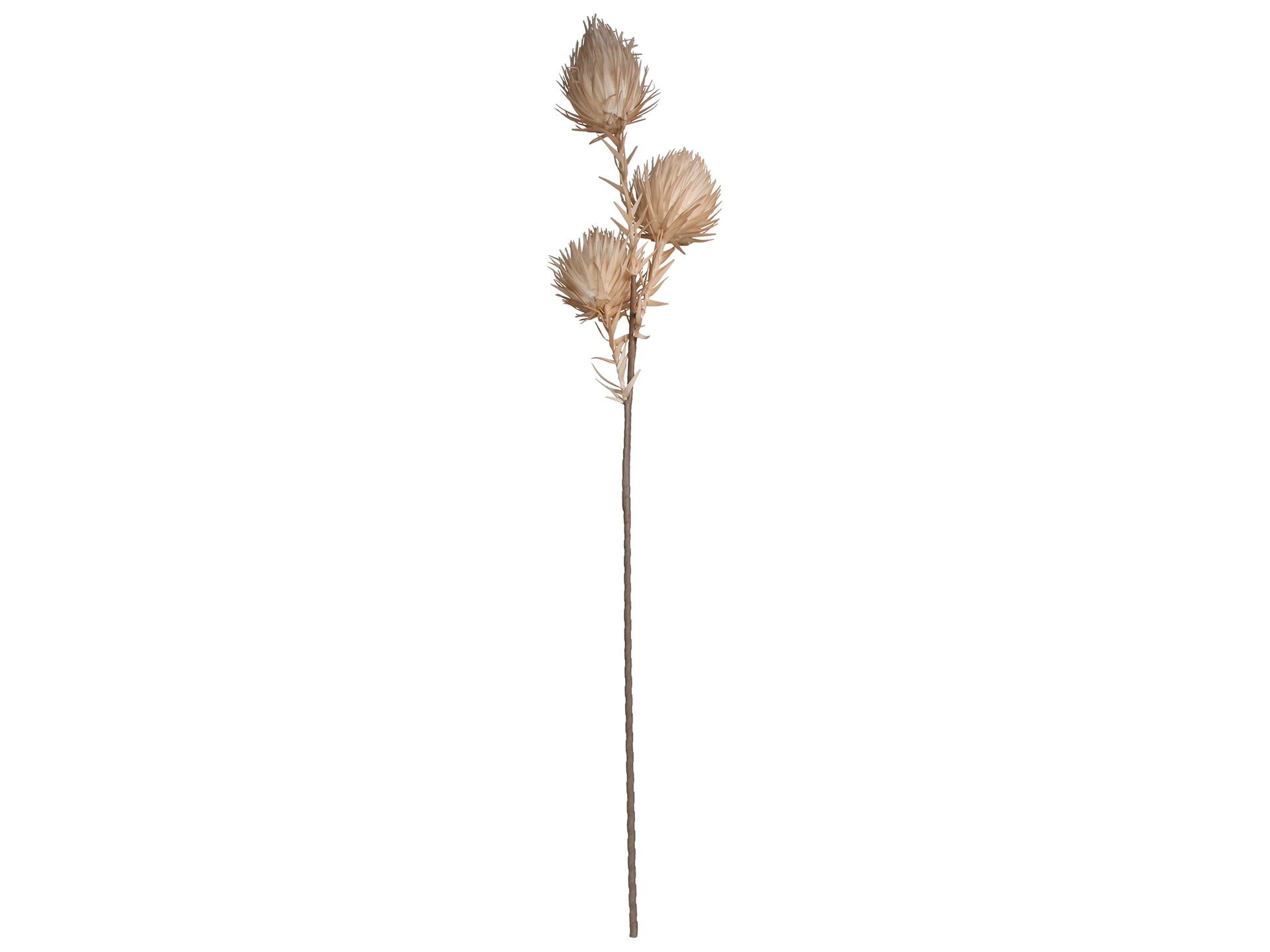 Kunstblumen 3 Knospen Beige H: 100 cm Kersten