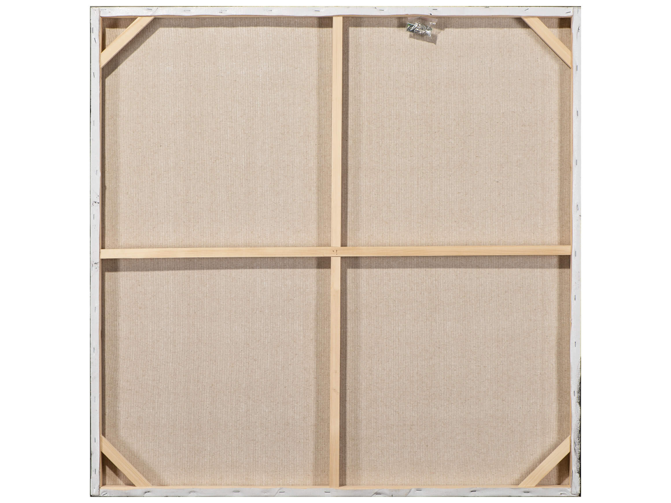 Bild Schönheit mit Blauem Papag image LAND