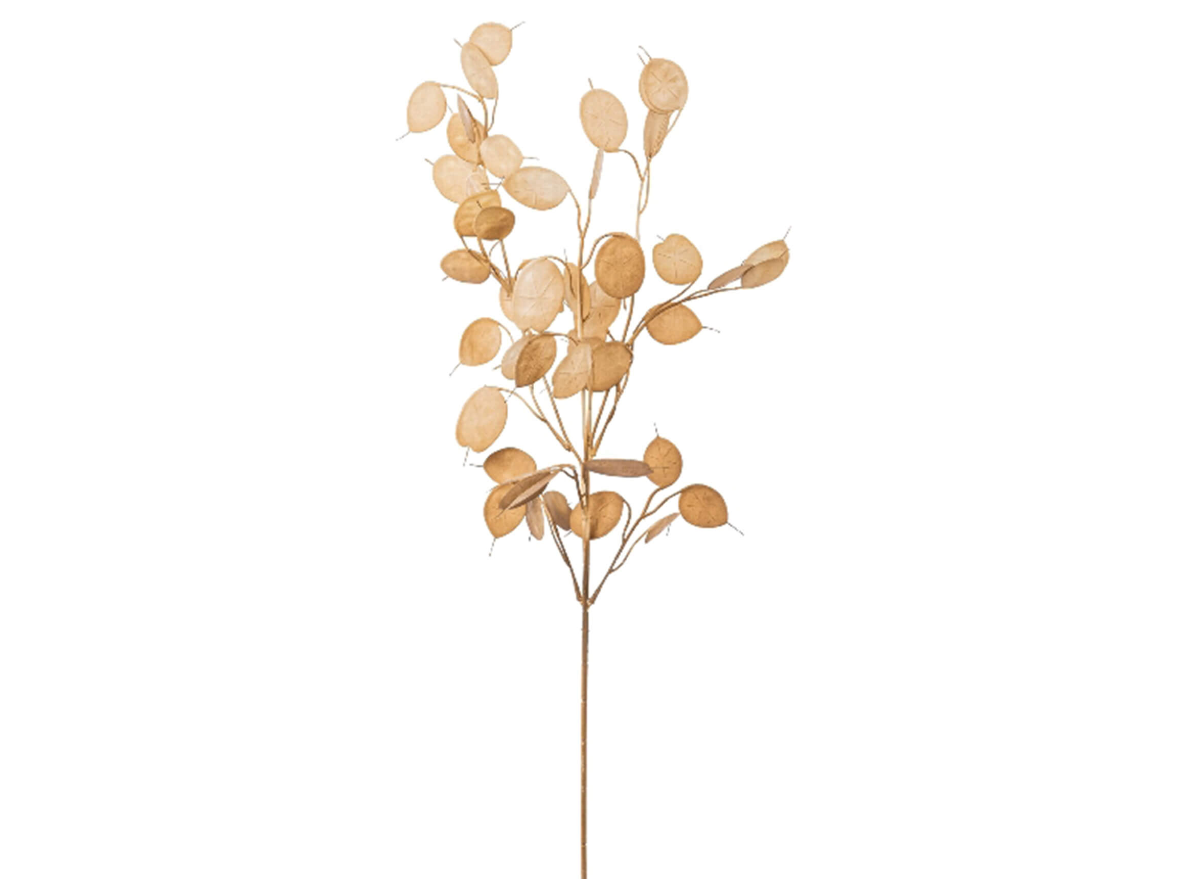 Artificial flower penny leaf branch brown H: 76 cm Gasper