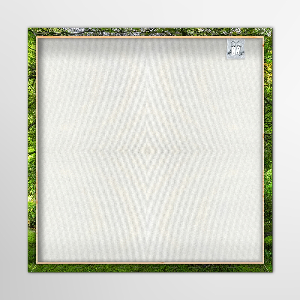 Canvas-Bauminsel-image LAND