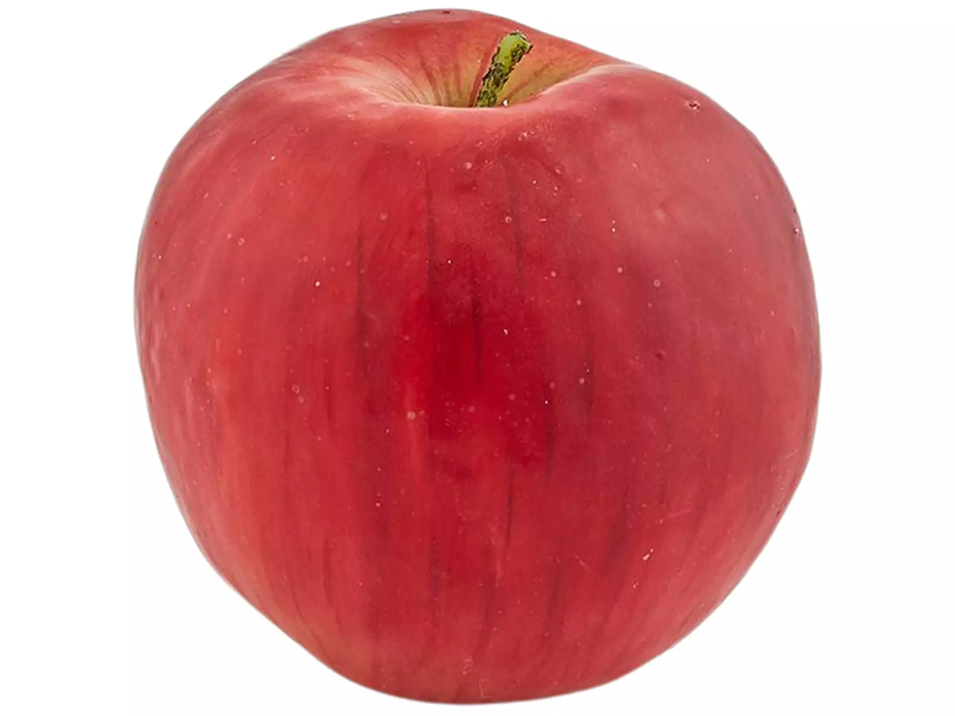 Zierfrucht Apfel Rot D: cm Edg / Farbe: Rot