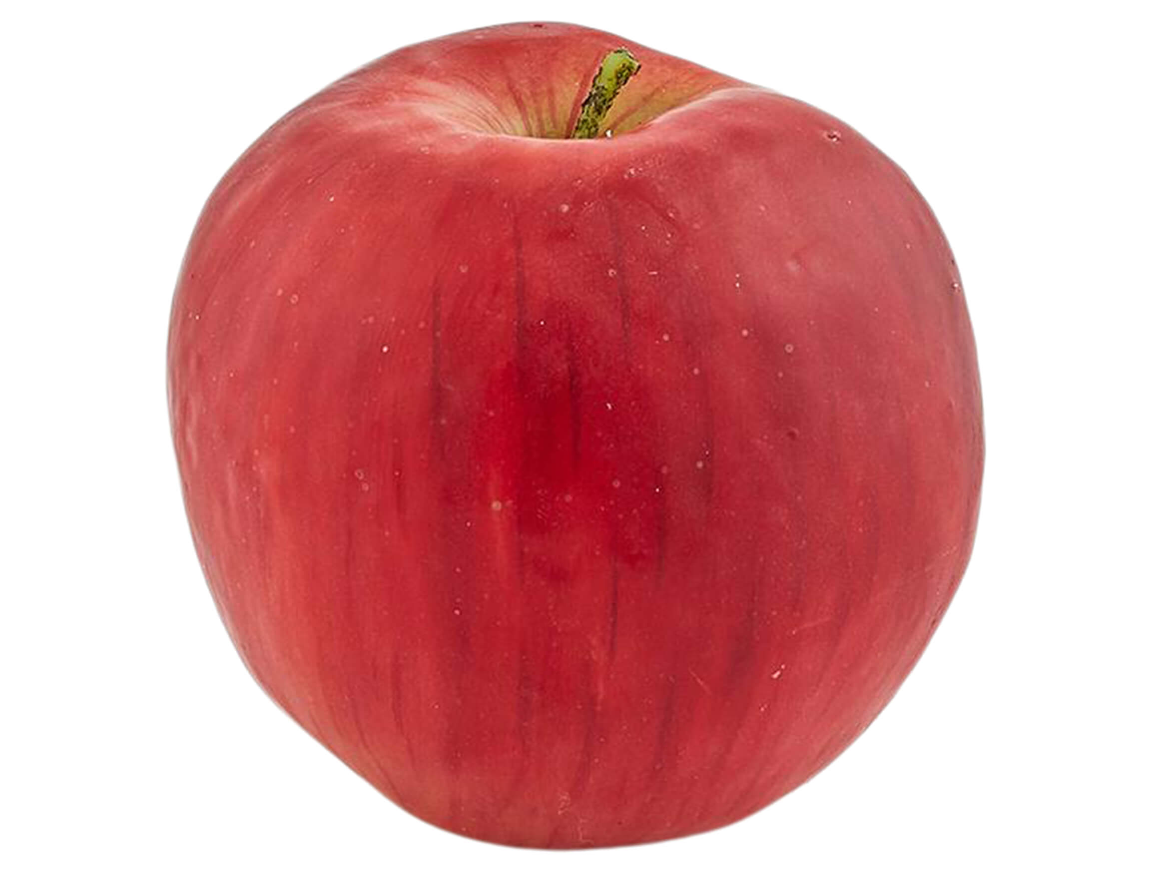 Zierfrucht Apfel Rot D: cm Edg / Farbe: Rot