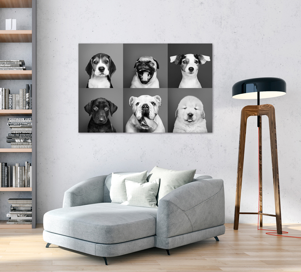 Alubild-Lustige Hunde-image LAND