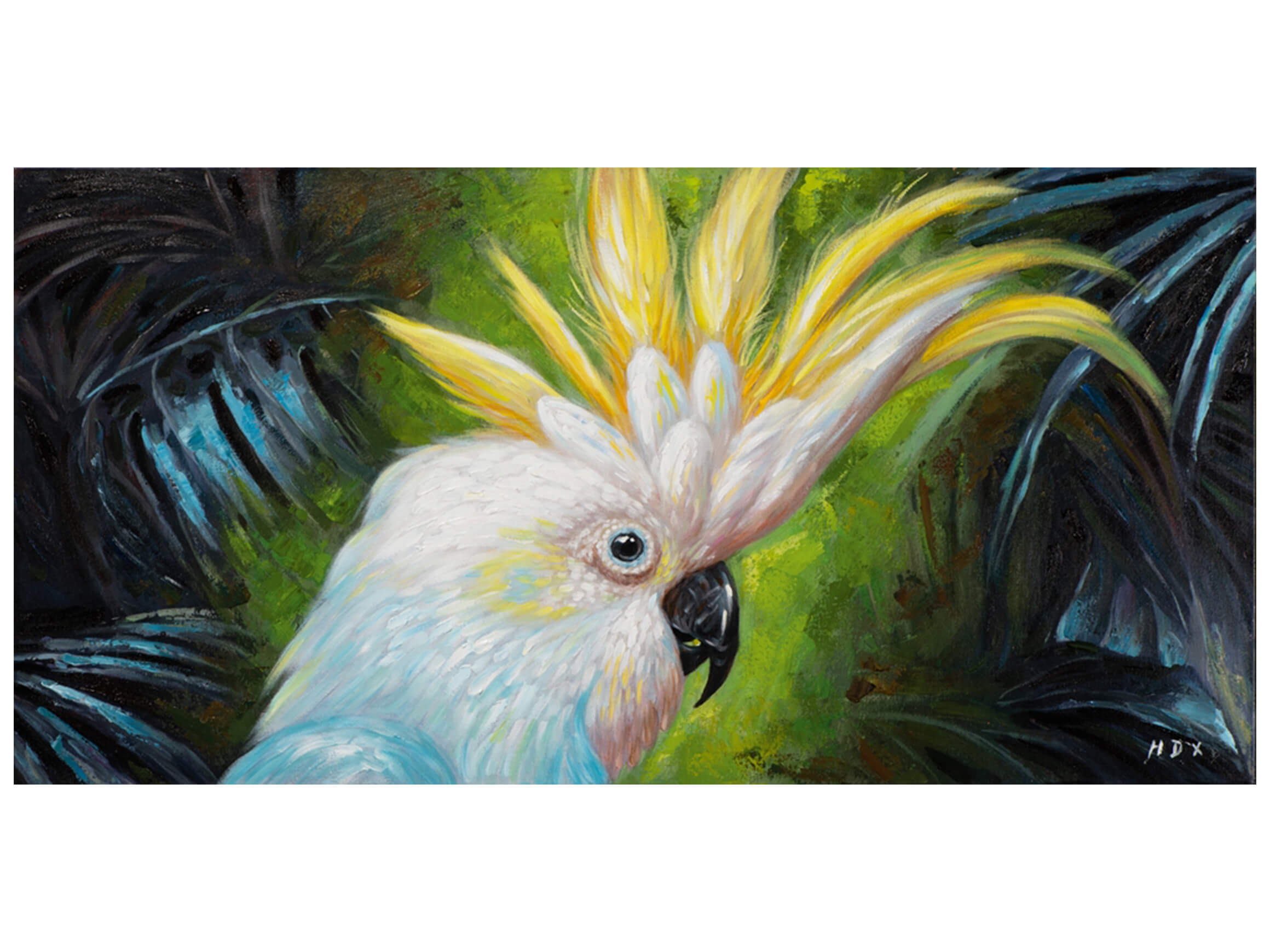 image LAND Bild Hübscher Kakadu  | Schubiger Möbel