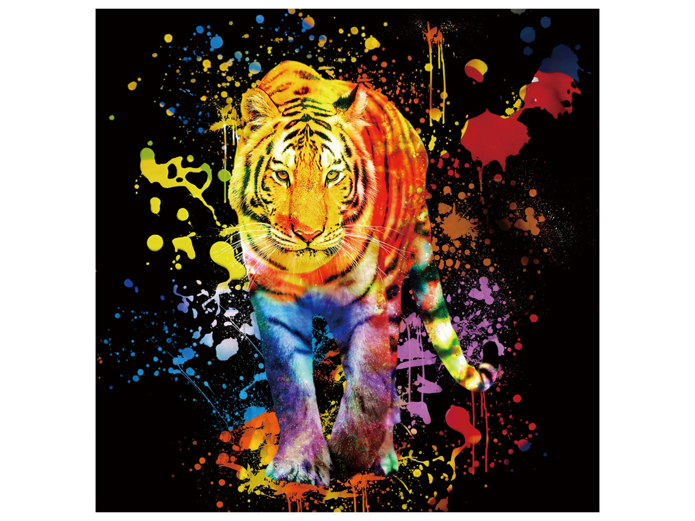 Digitaldruck auf Glas Farbkomposition Tiger Auf Schwarzem Hintergrund image LAND