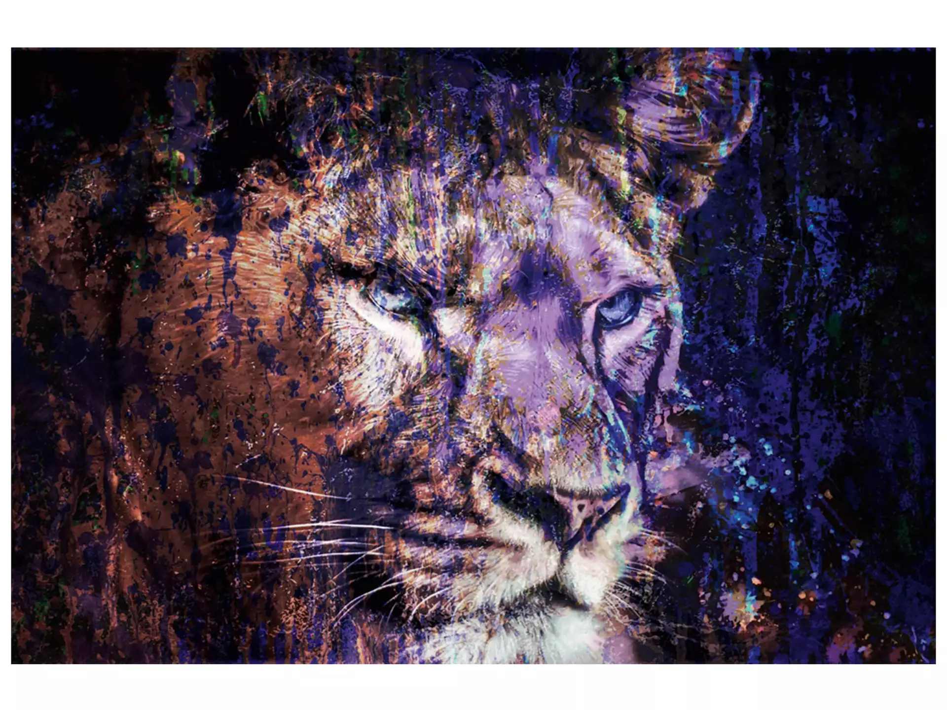 Digitaldruck auf Acrylglas Löwe in Blau image LAND / Grösse: 120 x 80 cm