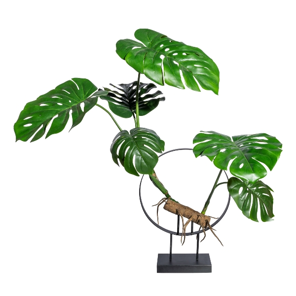 Gasper Kunstpflanzen Splitphilodendron mit Kunstholz H: 100 cm  | Schubiger Möbel